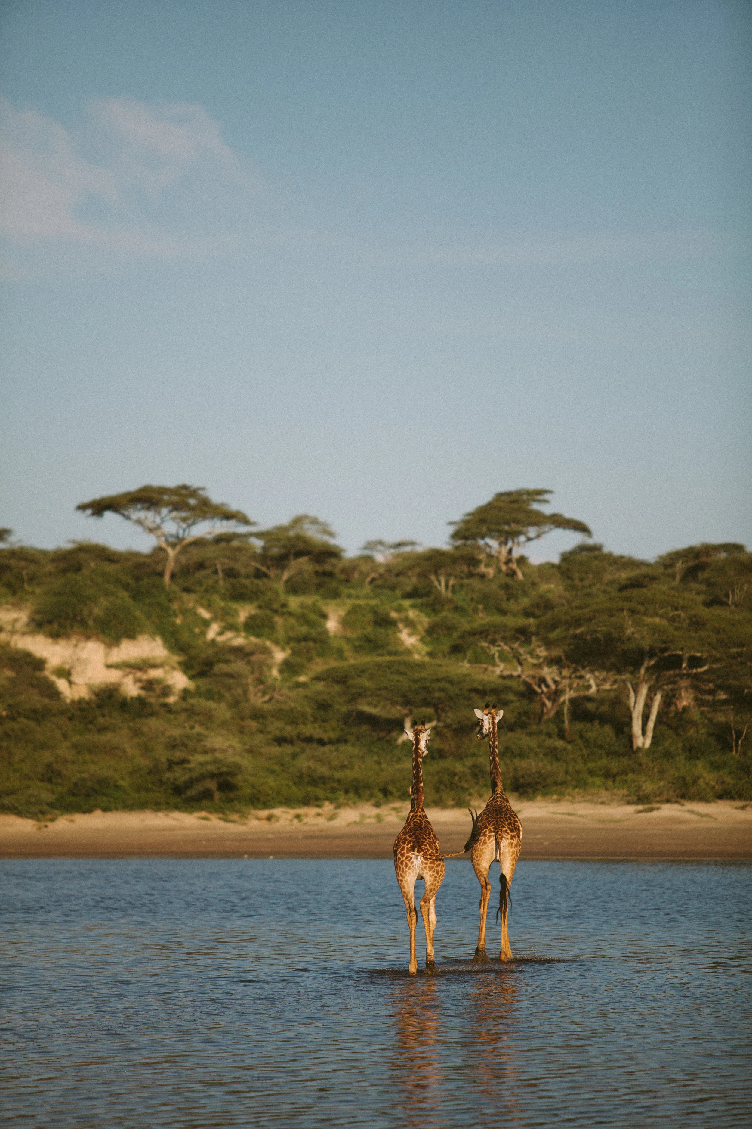Serengeti-25.jpg