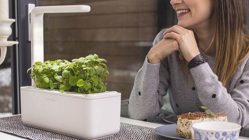smartgarden-1498695692-jgo9-full-width-inline-1501788654-cv09-full-width-inline-1522155322-v4WK-full-width-inline.jpg