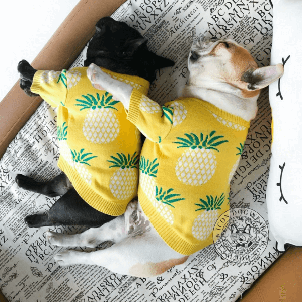 Tropic_Thunder_Dog_Sweater_6_2000x.png