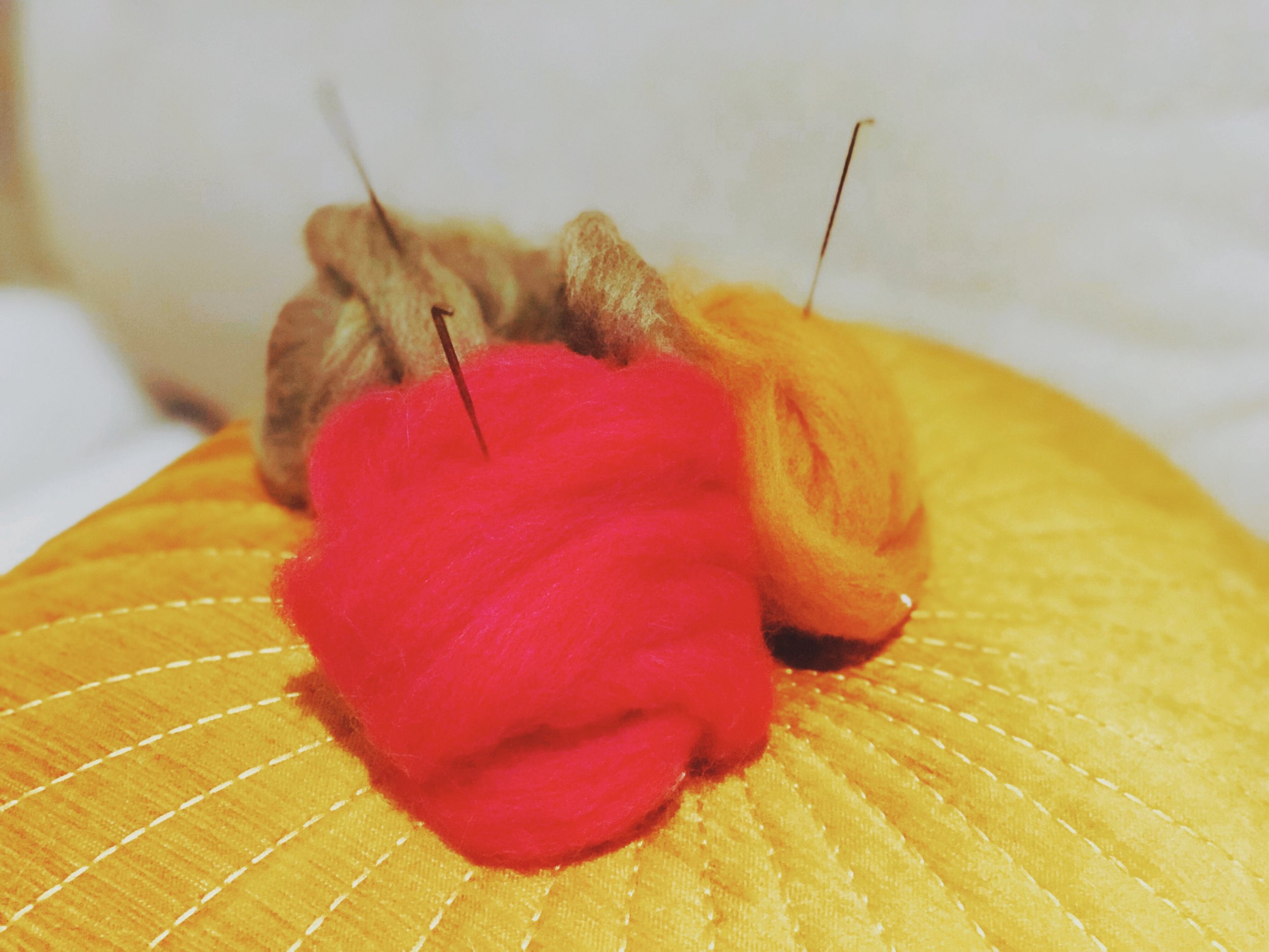 wool header.jpeg