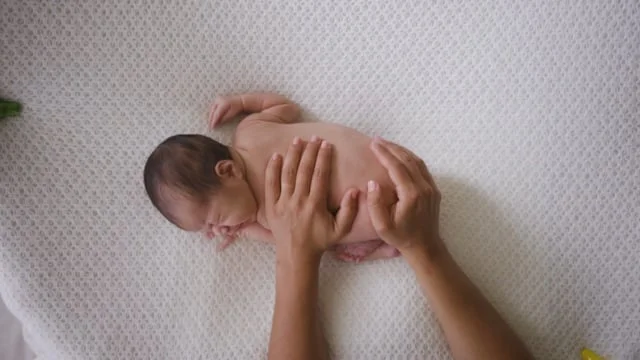 Lemon Shoots, About Me Video (Copy)