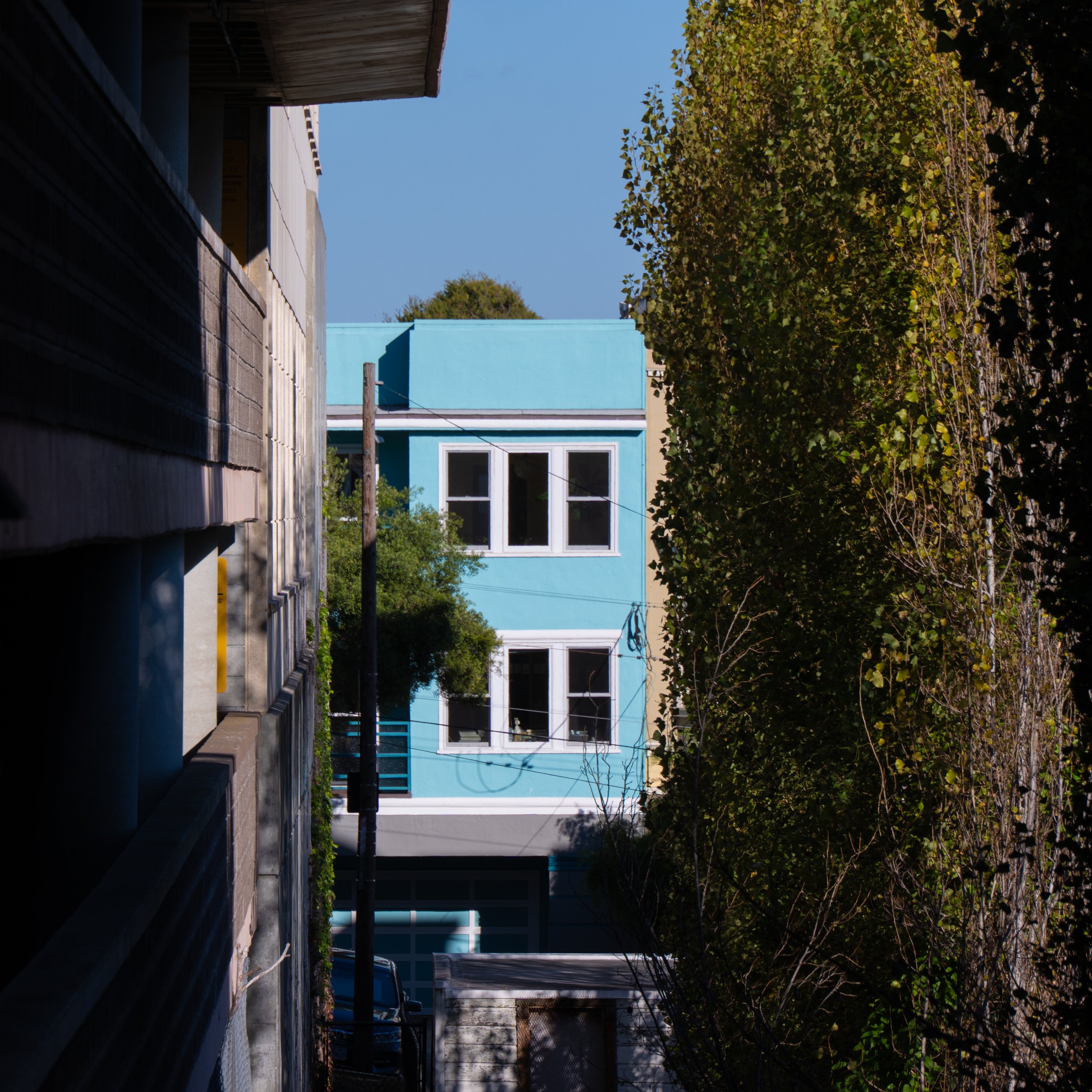 P1513856-2.jpg