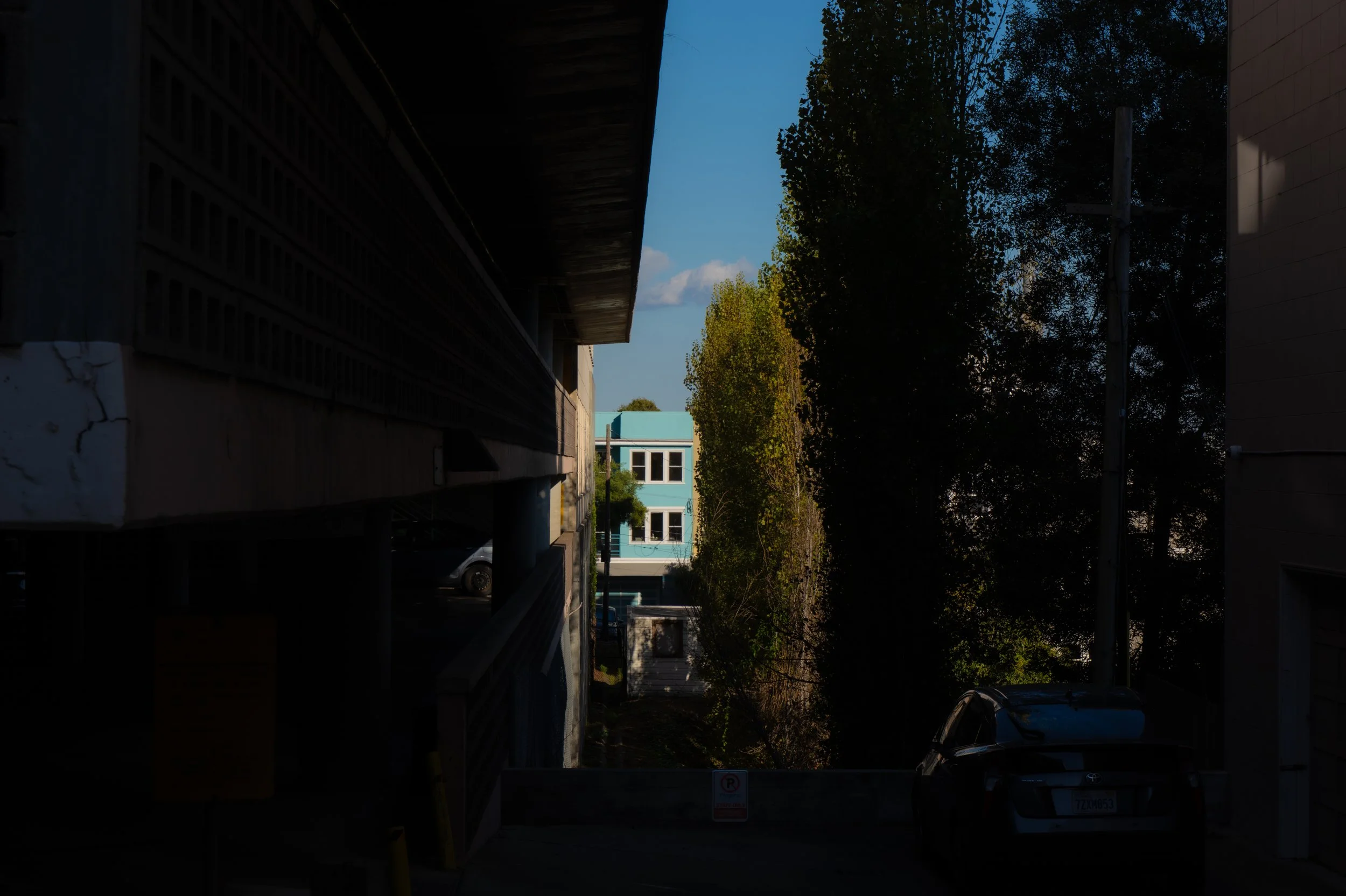 P1513858.jpg