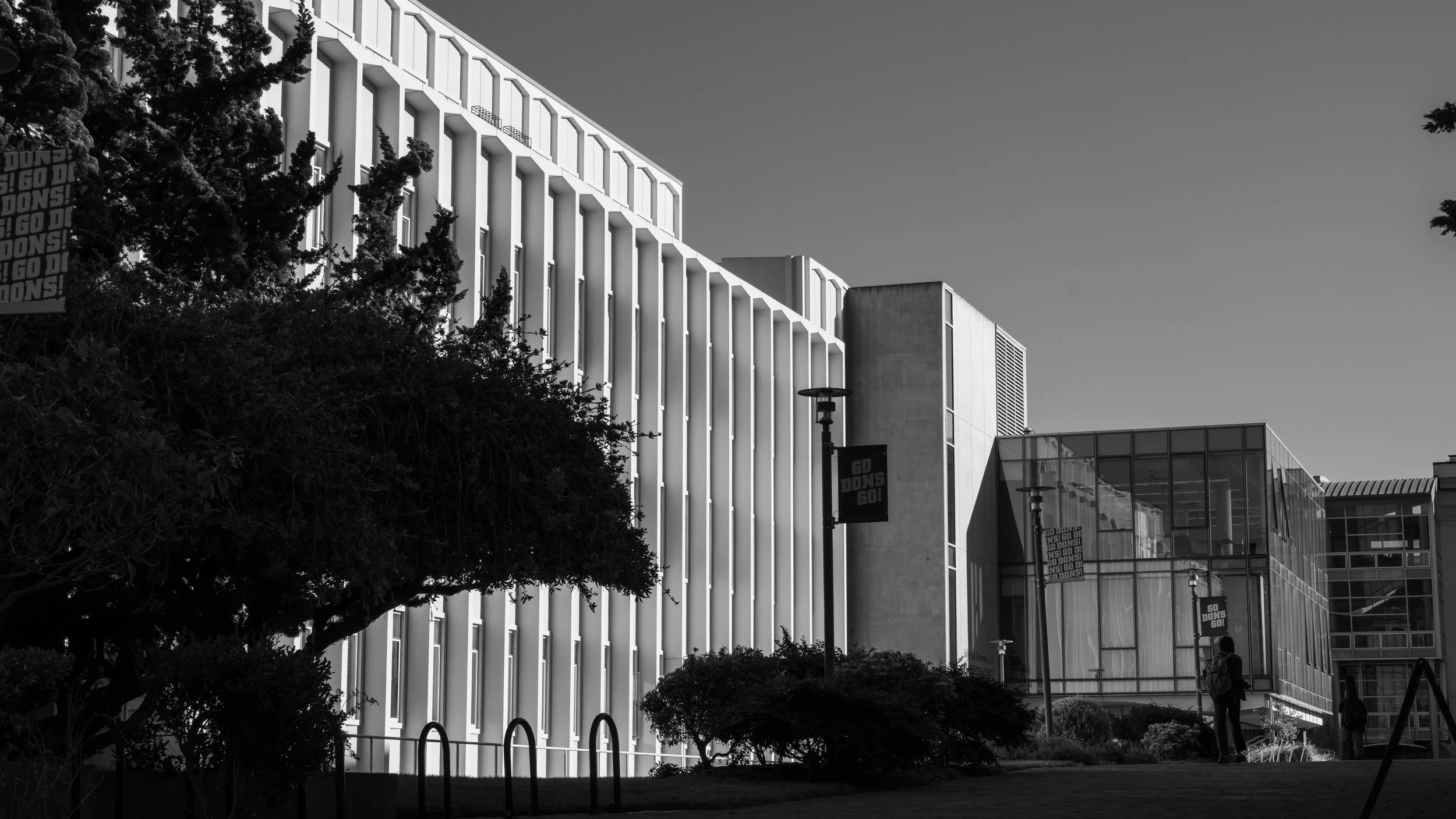 P1513872.jpg