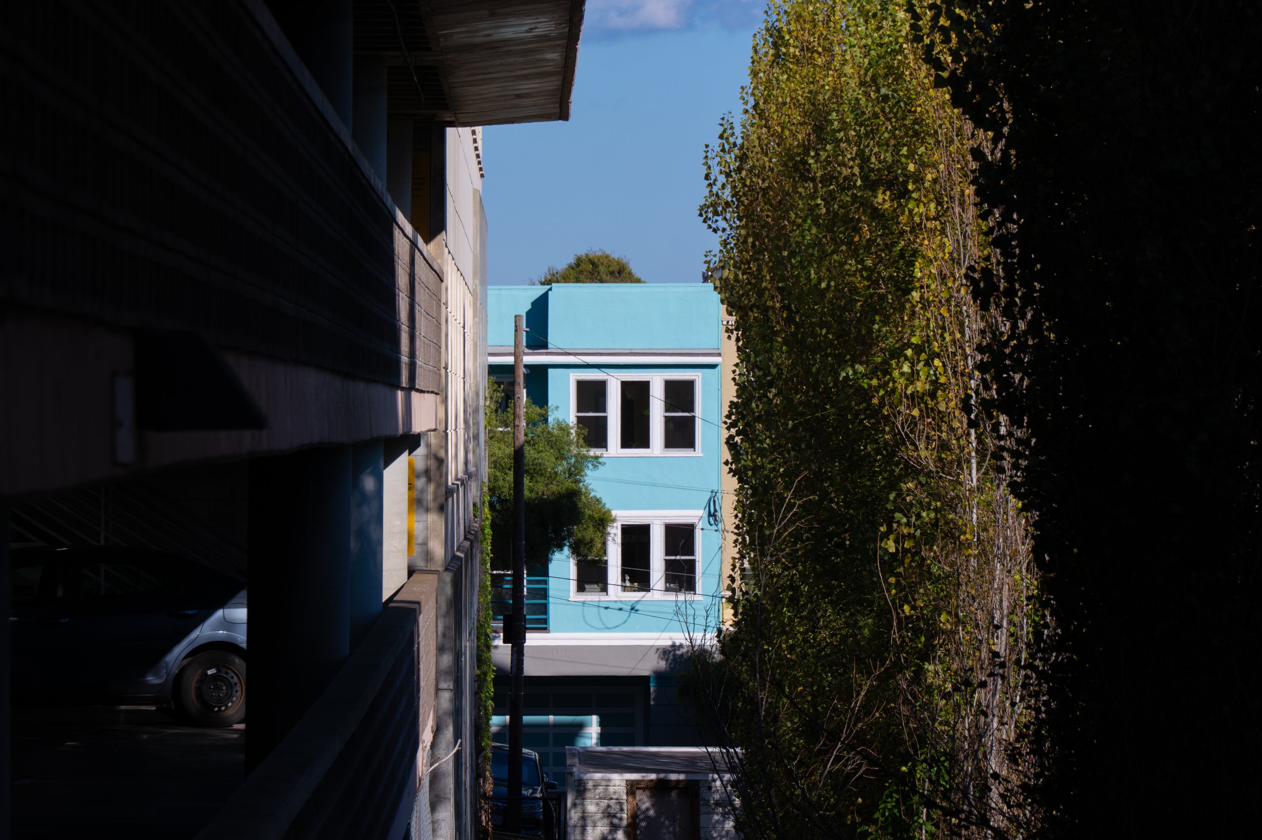 P1513856-3.jpg