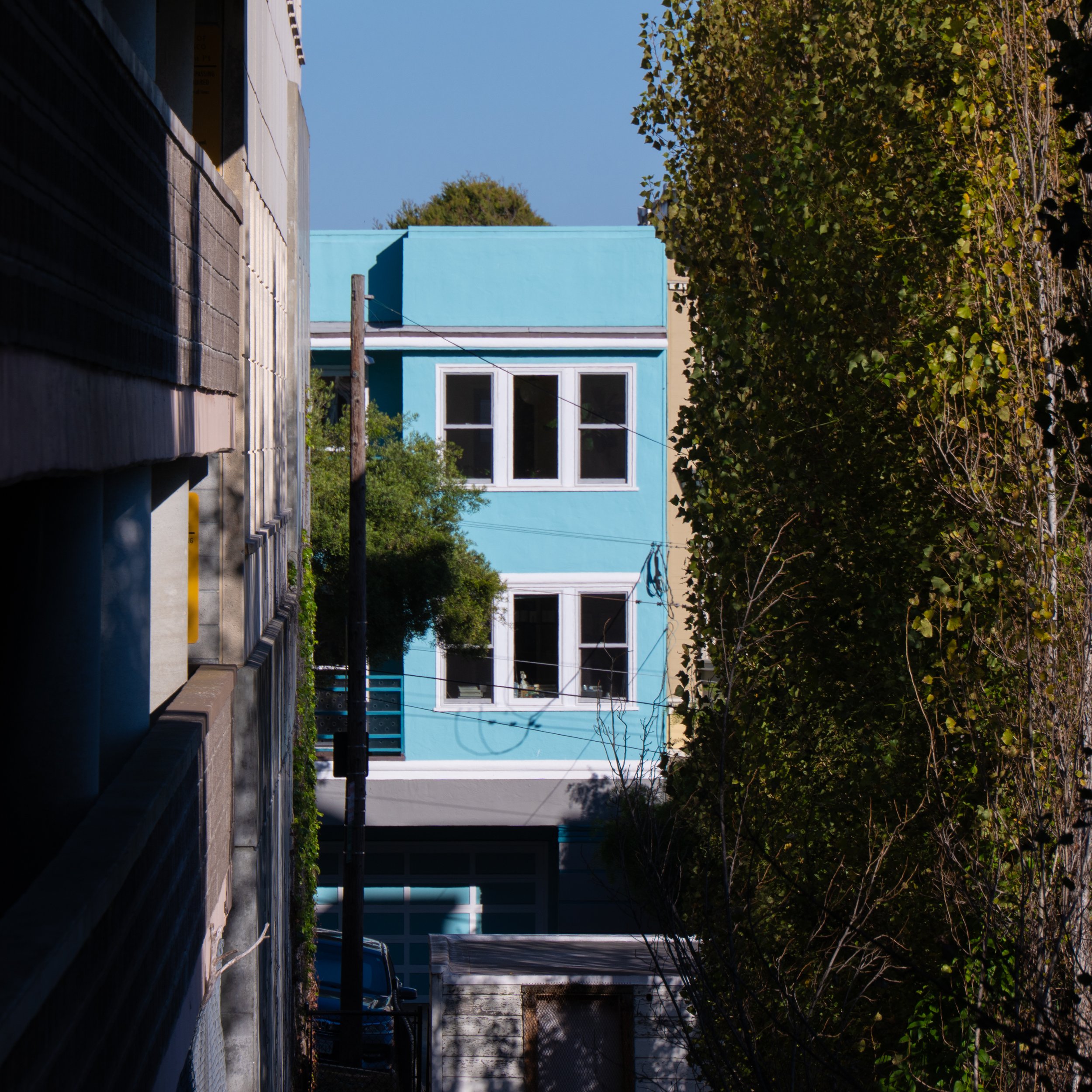 P1513856.jpg