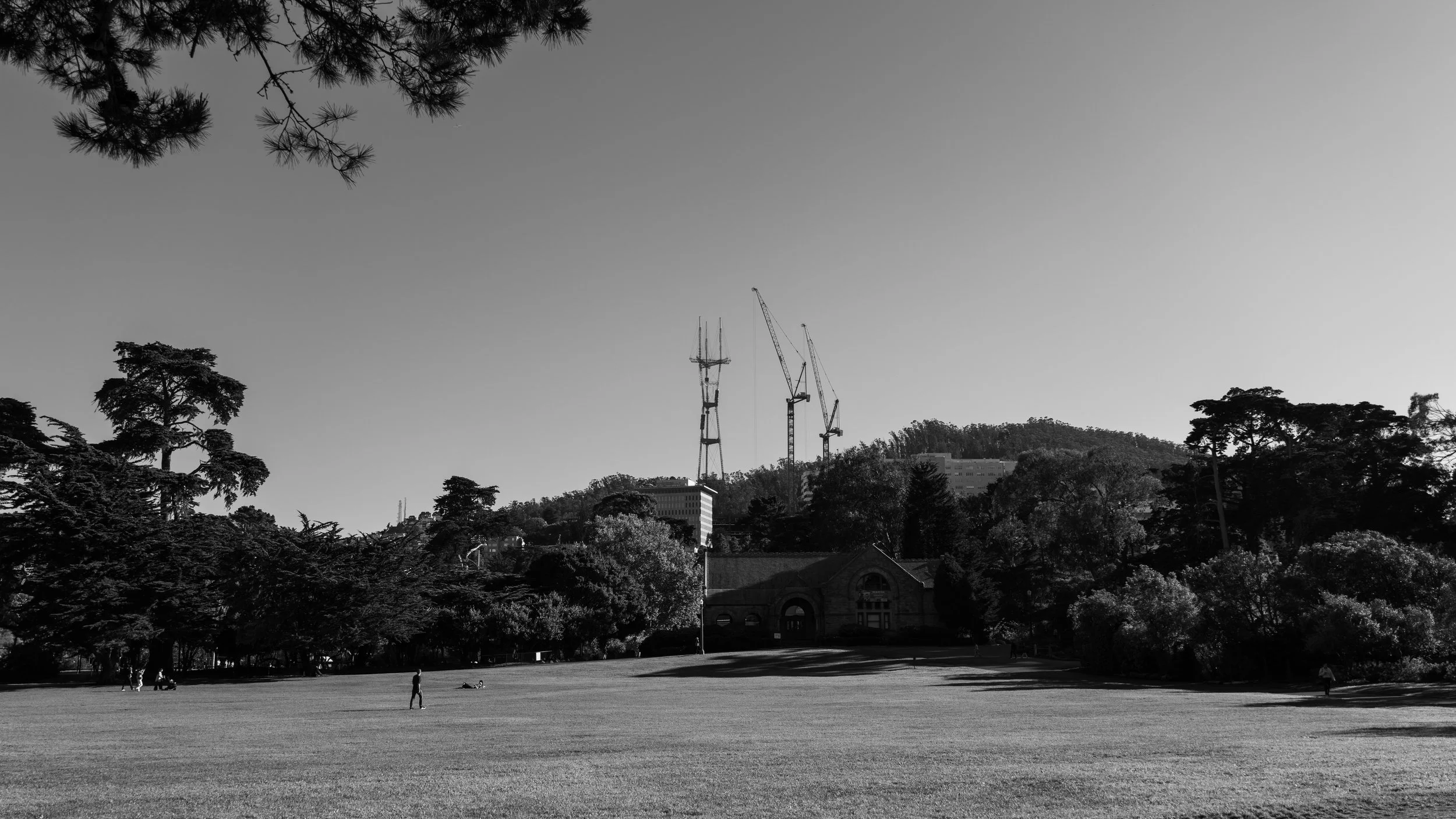 P1513829.jpg