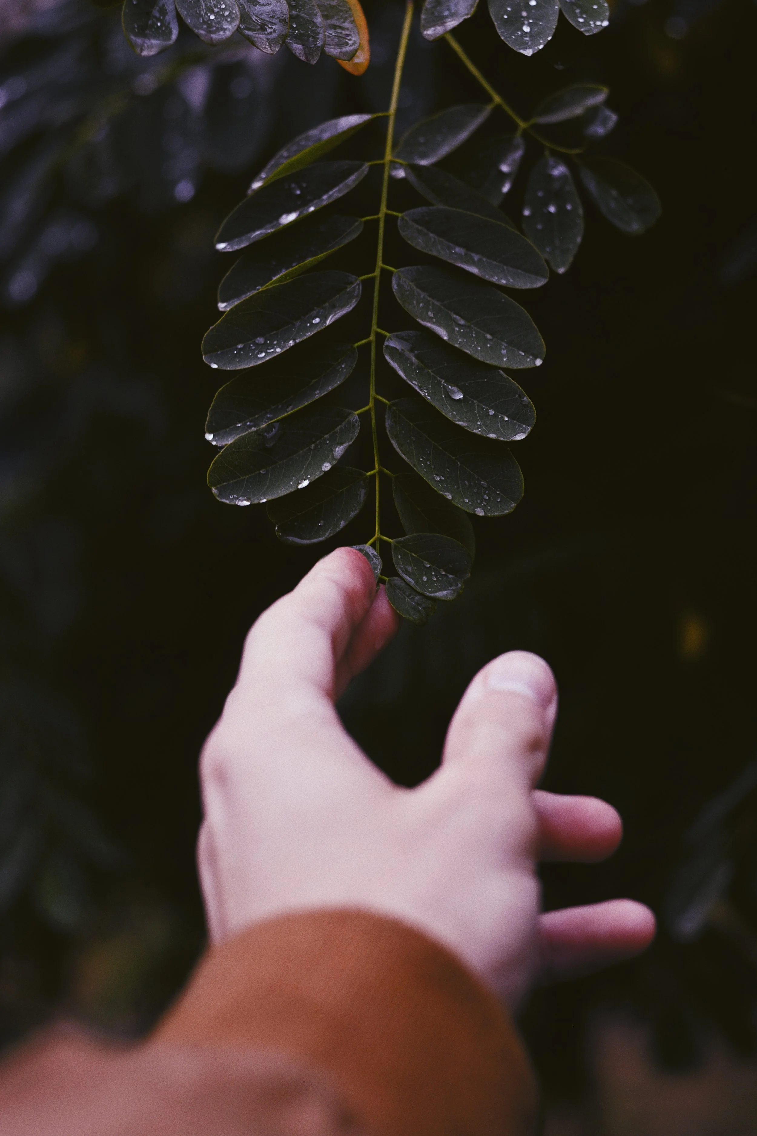 Photo by Dmitry Bayer on Unsplash