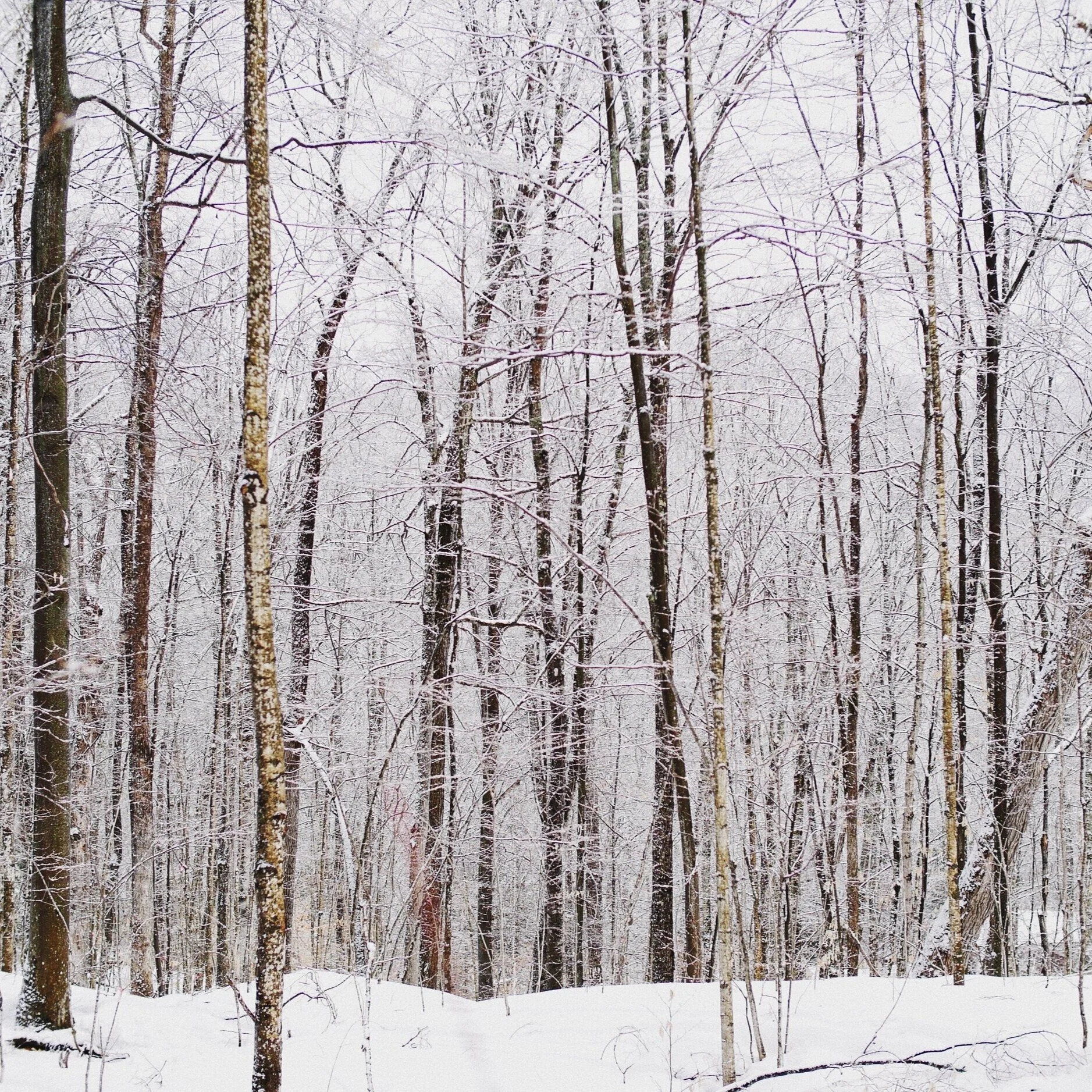 JANUARY