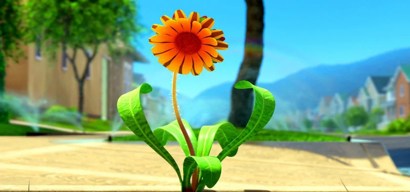 short8.jpg