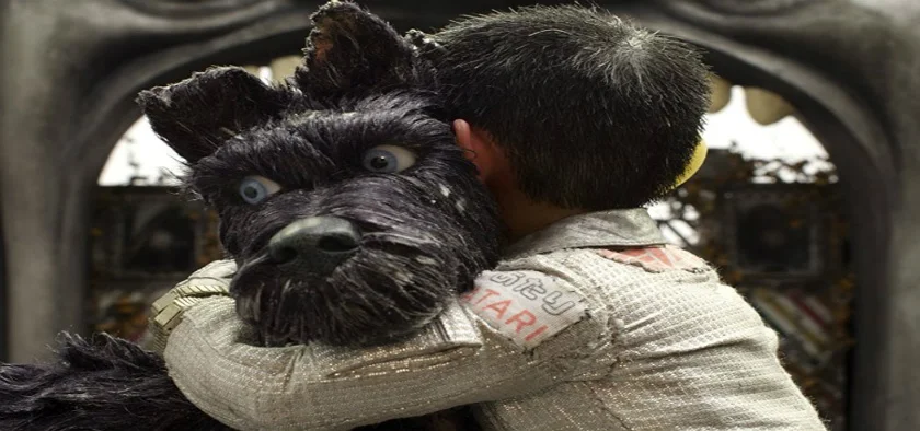 dog4.jpg