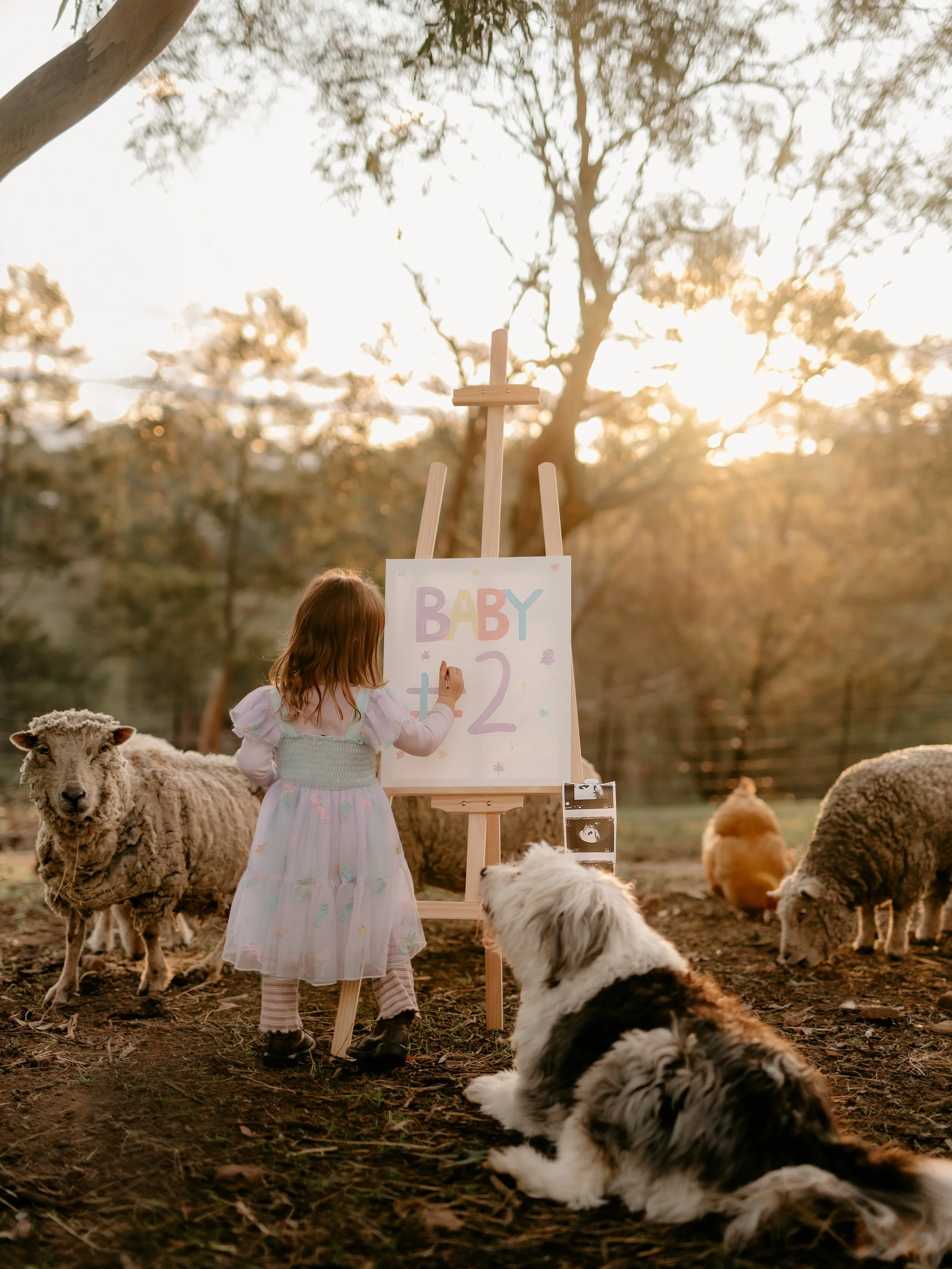 And just like that a new chapter is starting for our family. We are excited to let you know that I&rsquo;ll be taking a little bit of time off mid January to late July as we find our feet and enjoy the early days. 

This being said if you have been h