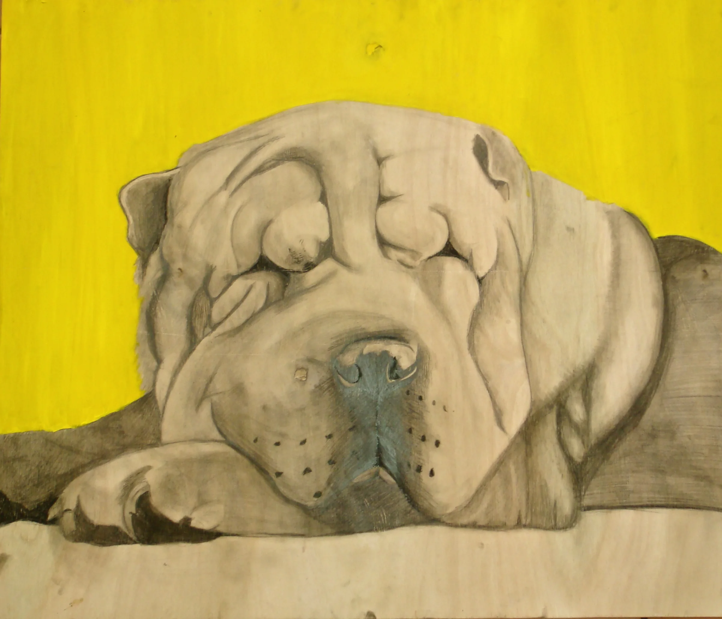 Pencil &amp; acrylic on wood (2009)