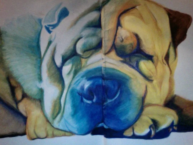 Watercolor pencil on paper (2010)