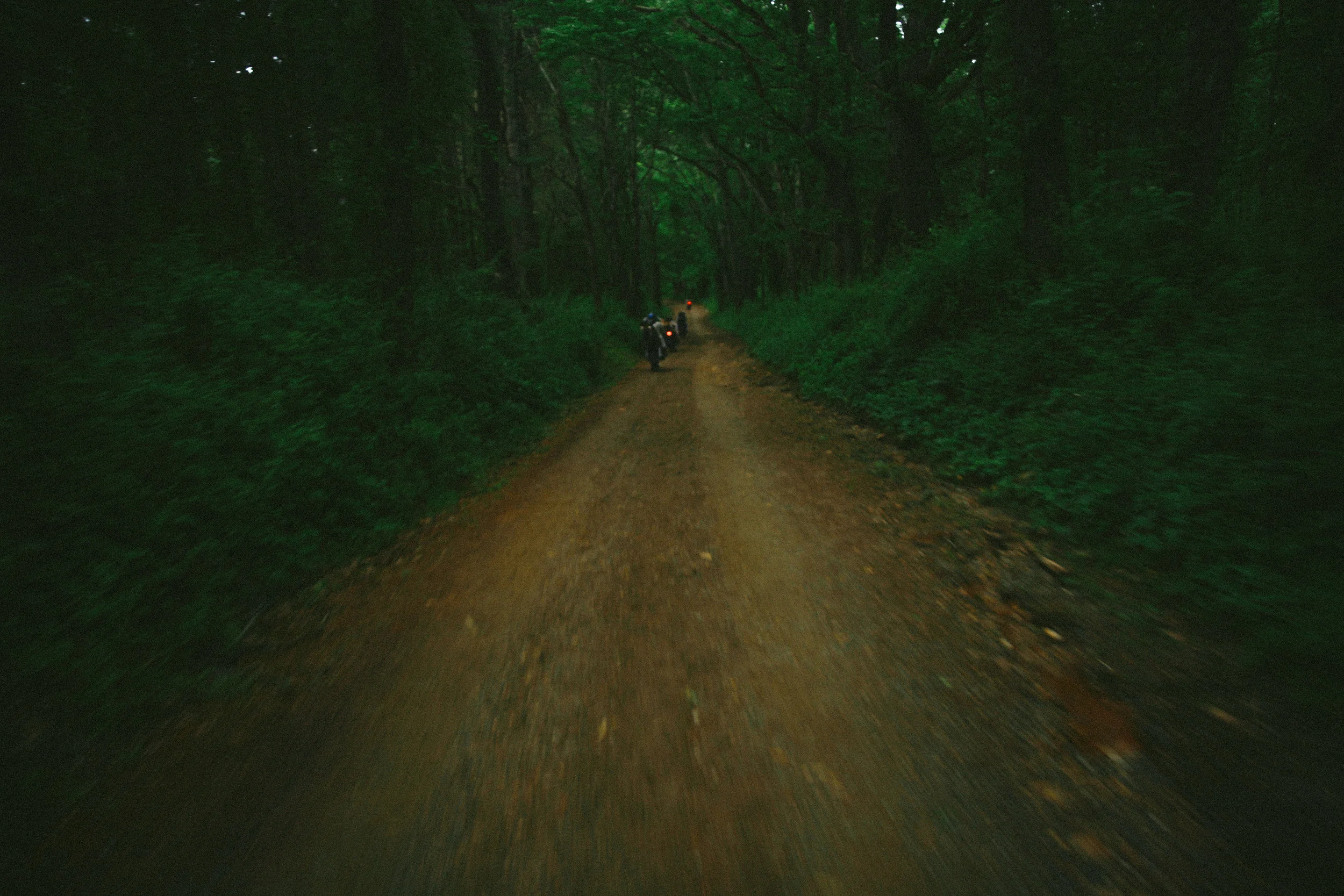 untitled-59.jpg