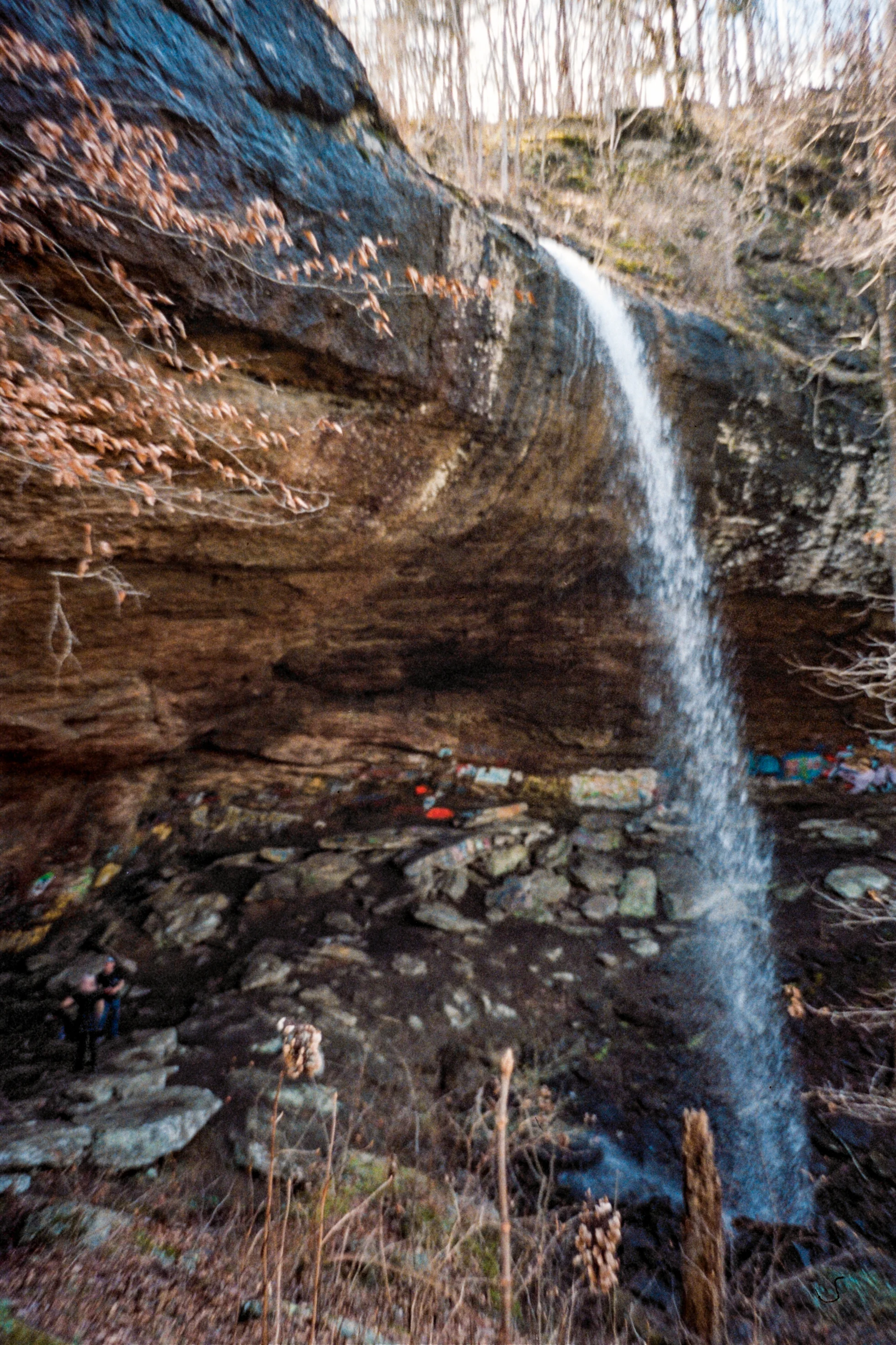 01080AA015-1.jpg
