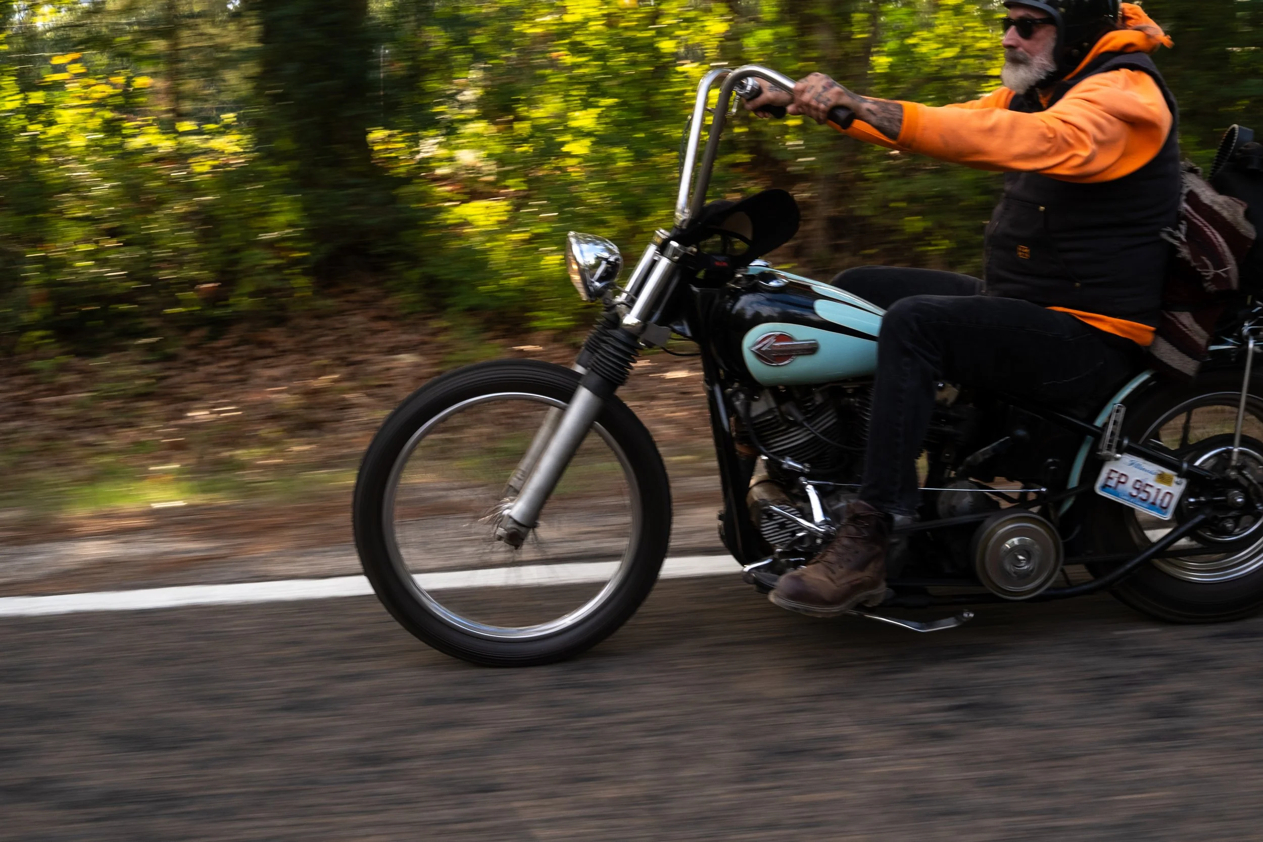 Born Free Texas-6482.jpg