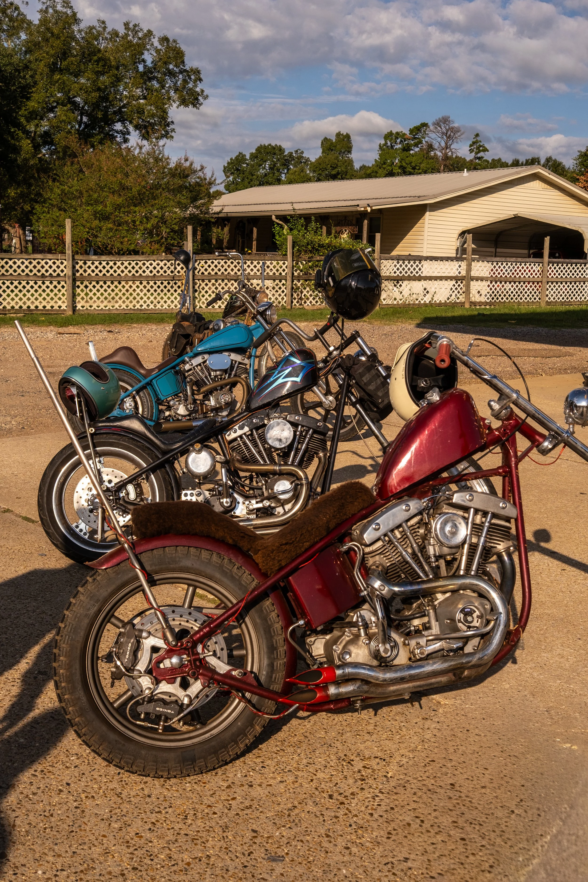 Born Free Texas-6502.jpg