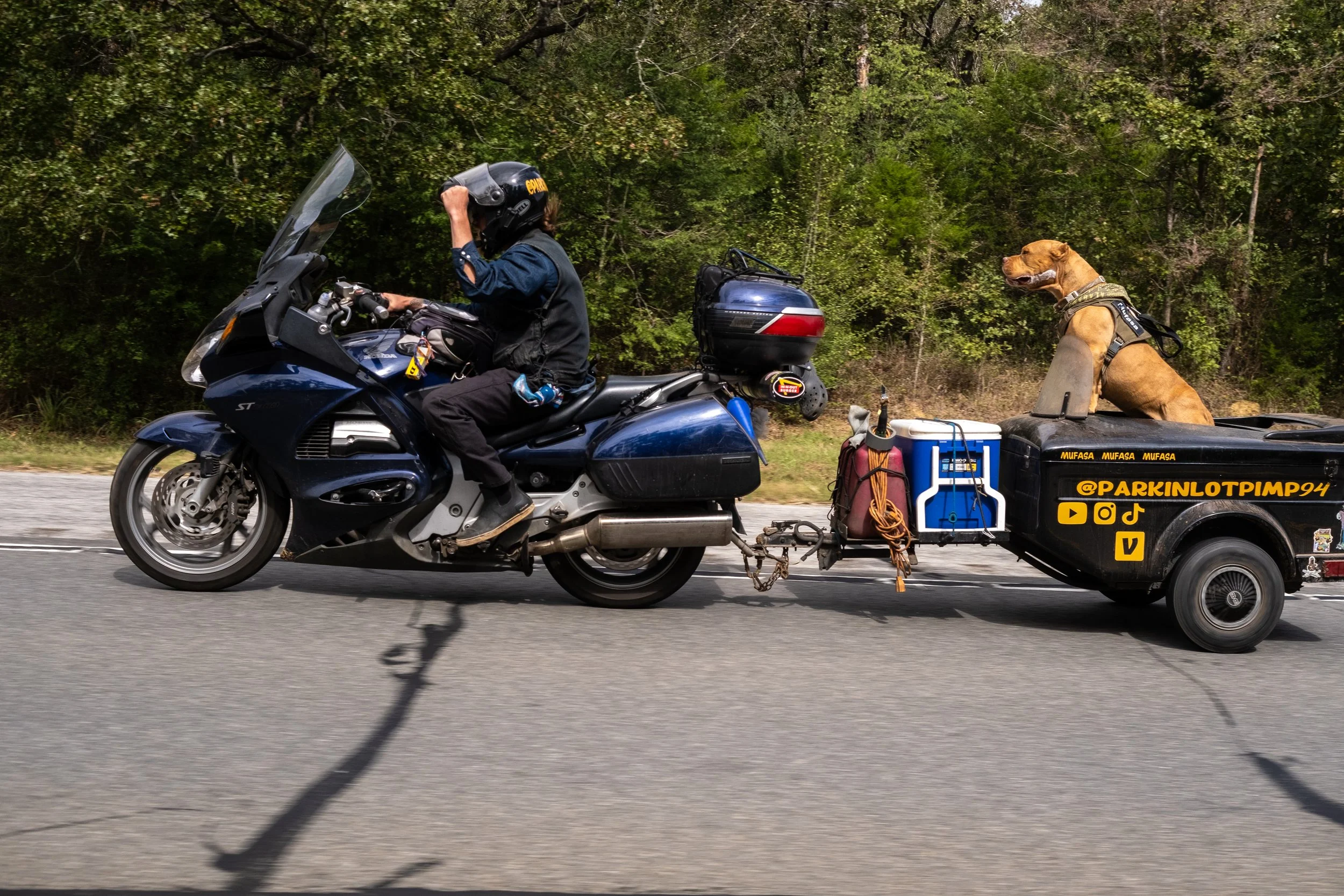 Born Free Texas-6600.jpg