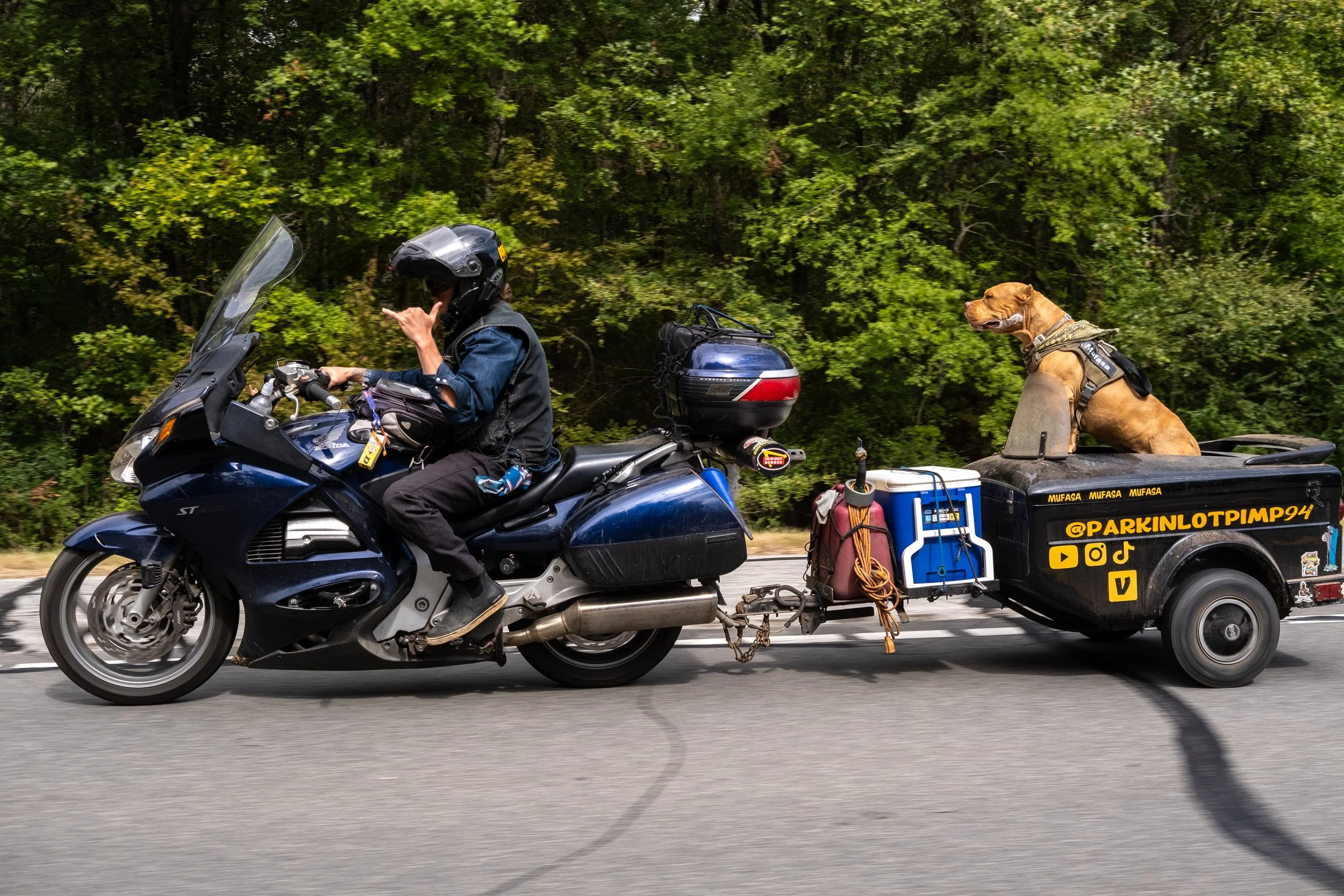 Born Free Texas-6602.jpg