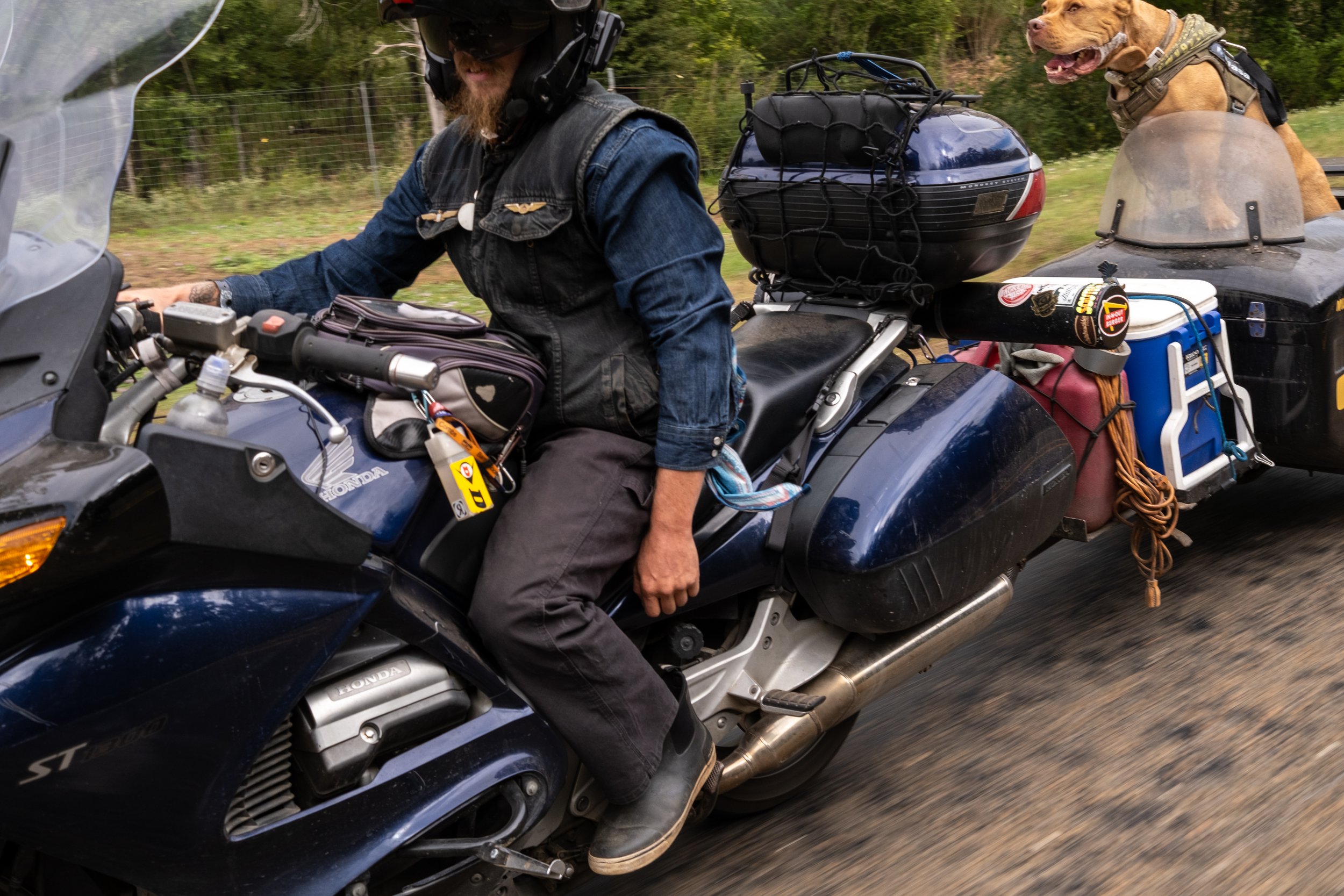 Born Free Texas-6604.jpg