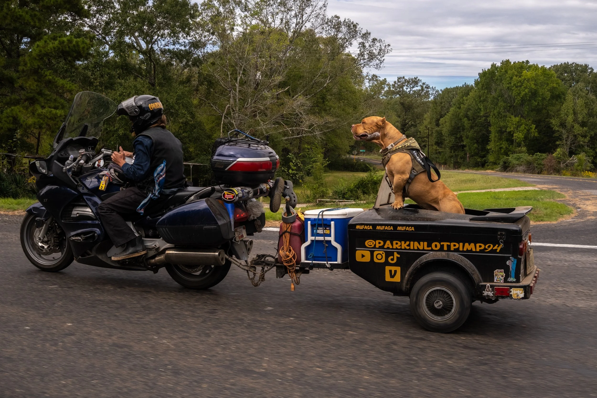 Born Free Texas-6608.jpg