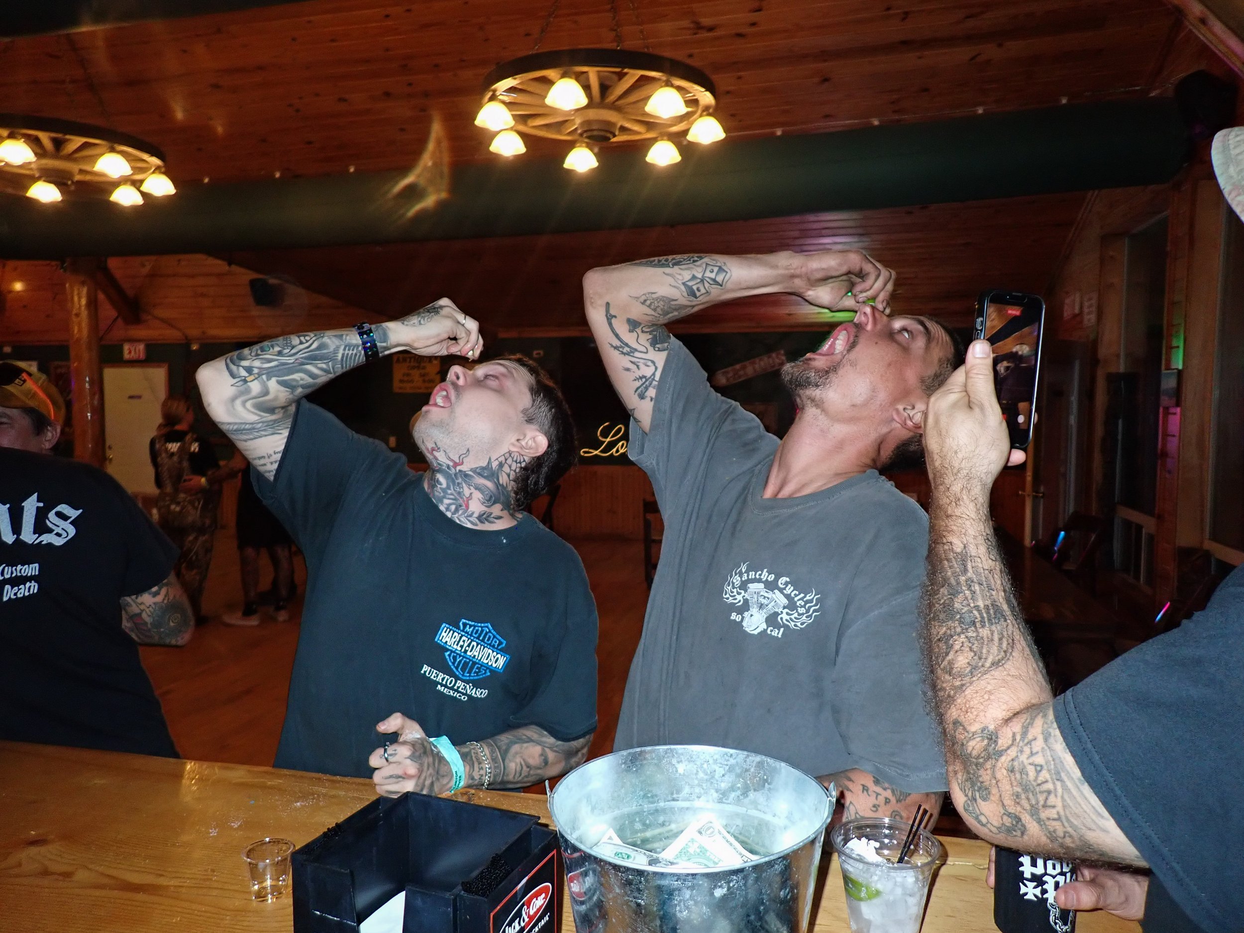 Born Free Texas-150226.jpg