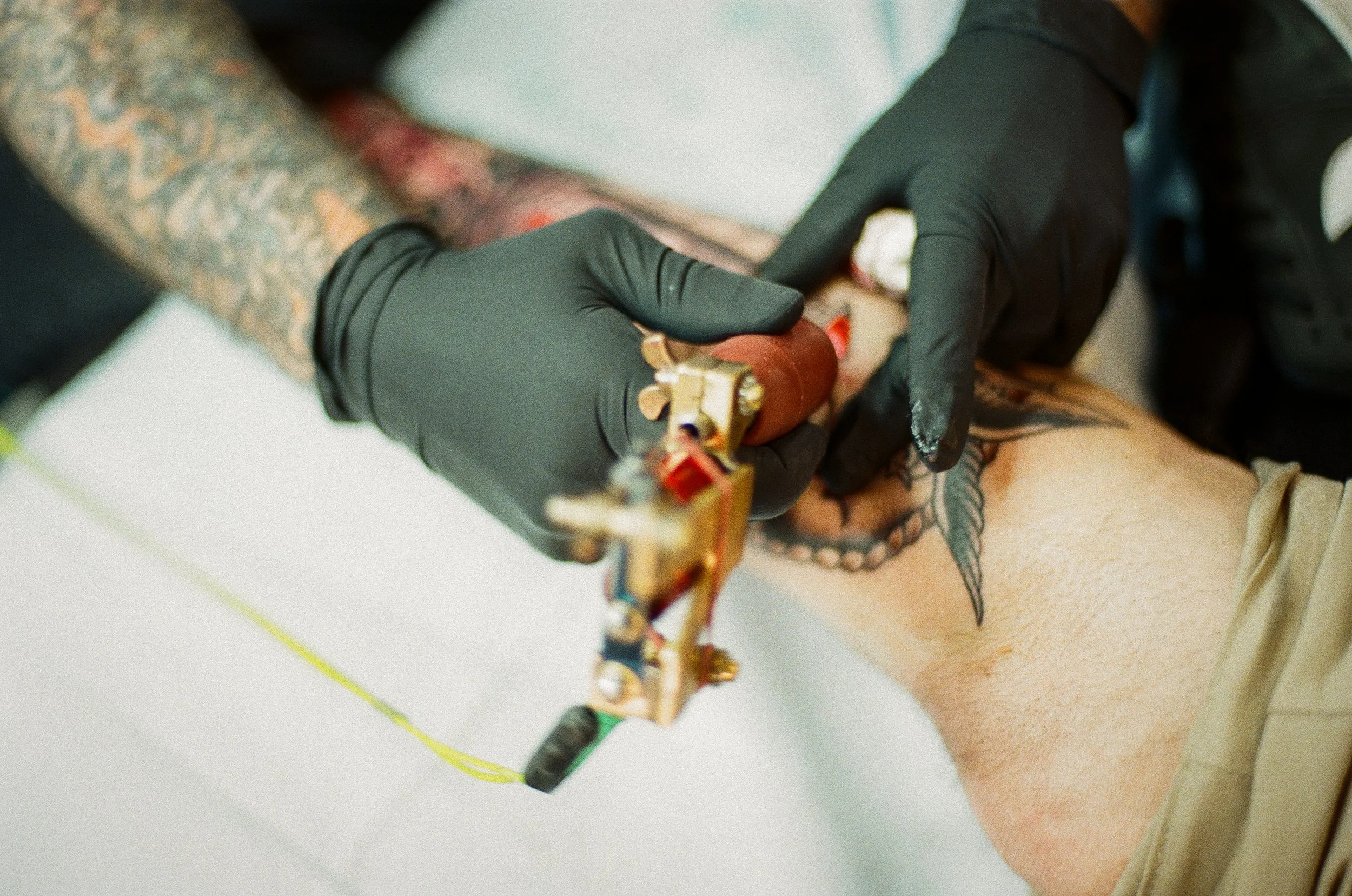 Tatto Rites 2026-000540620024.jpg