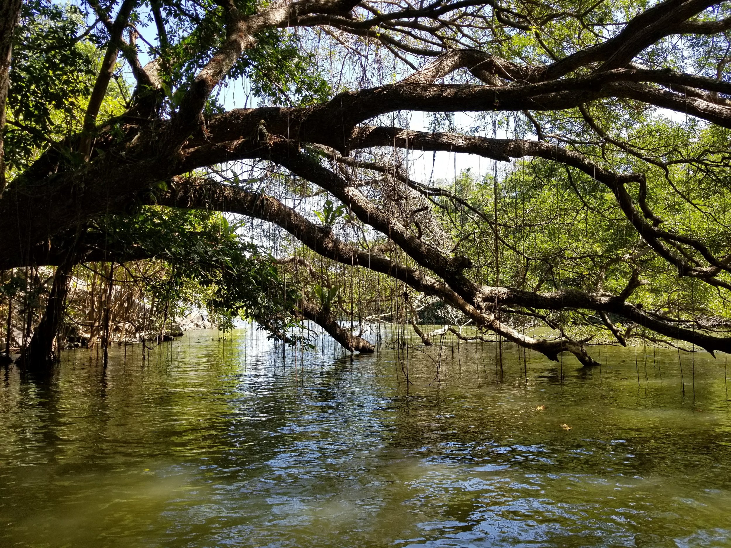 20180207_103006.jpg