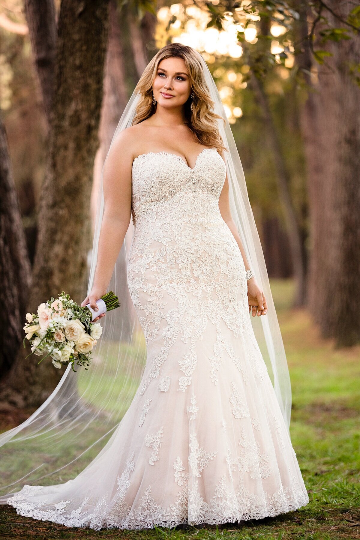 Stella York Curves $899-$1800