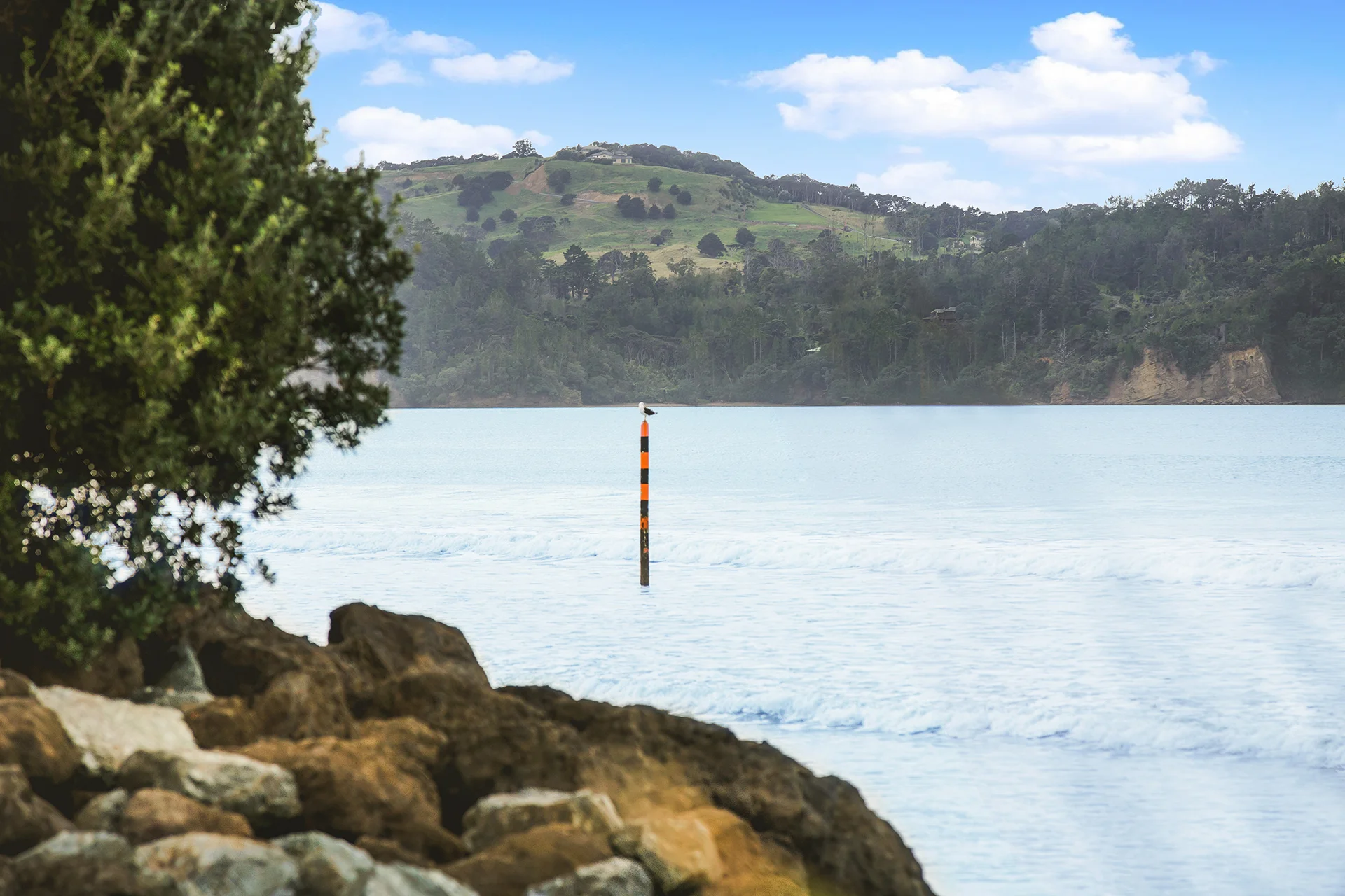 North-Harbour-Law-Legal-Services-Lawyers-Richard-Worker-Nicolene-Du-Toit-Chris-Hunt-Tony-Edward-Orewa-Silverdale-North-Auckland-Whangaparaoa-Hibiscus-Coast-Elder- Commercial-Conveyancing-Wills-Estates-Relationship-Property-Employment-Notarial-8728.jpg