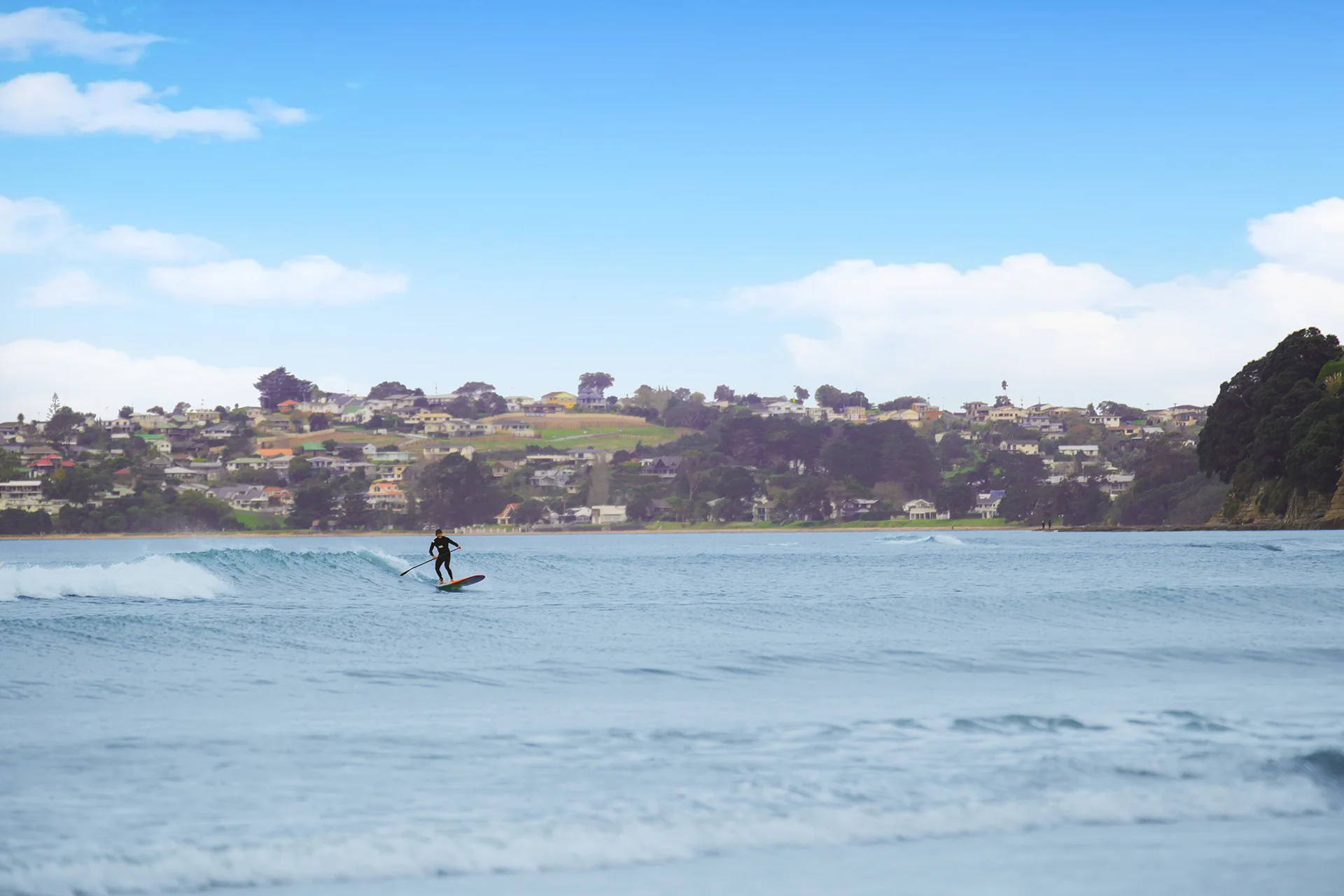 North-Harbour-Law-Legal-Services-Lawyers-Richard-Worker-Nicolene-Du-Toit-Chris-Hunt-Tony-Edward-Orewa-Silverdale-North-Auckland-Whangaparaoa-Hibiscus-Coast-Elder- Commercial-Conveyancing-Wills-Estates-Relationship-Property-Employment-Notarial-8795.jpg