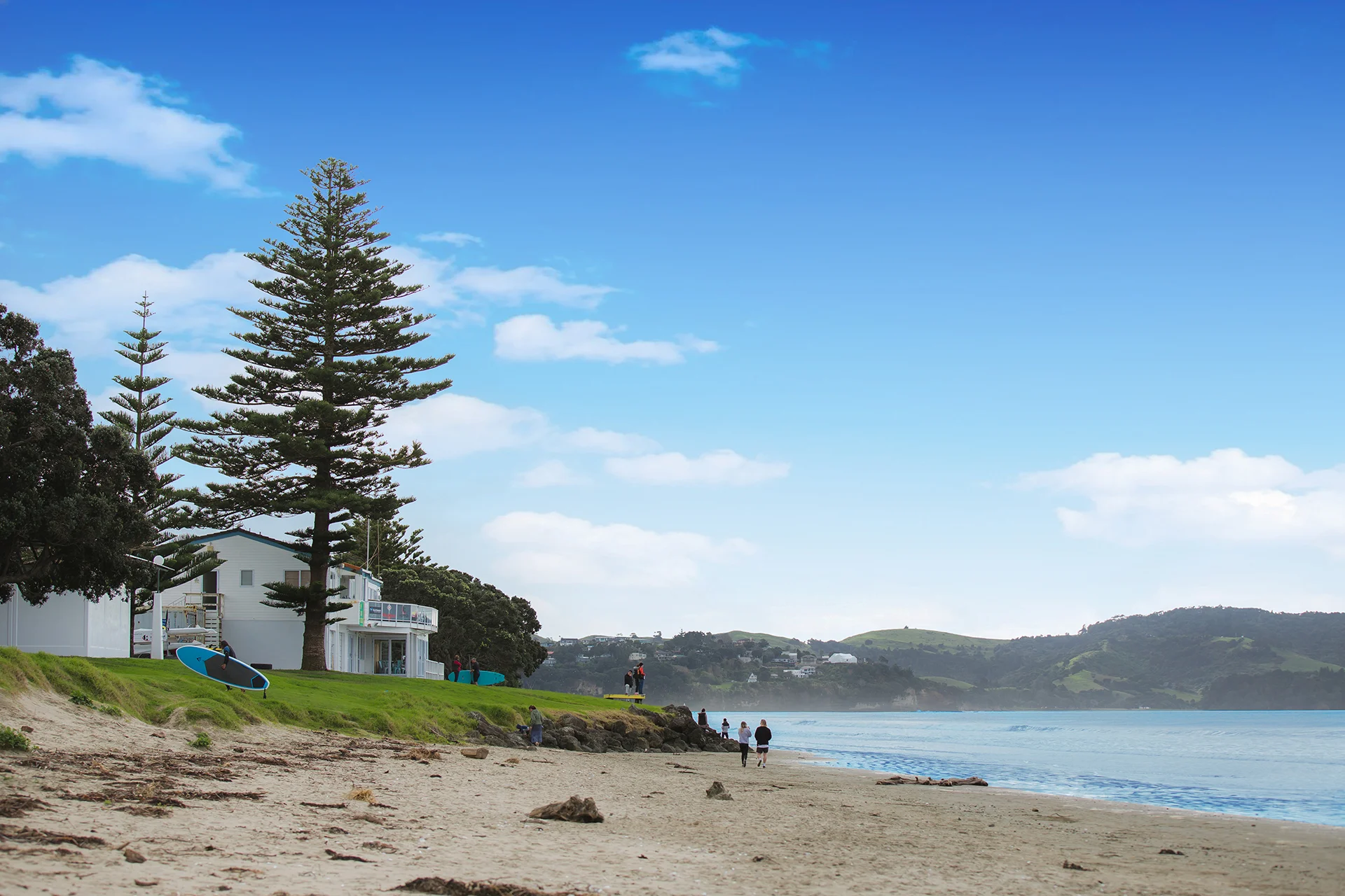 North-Harbour-Law-Legal-Services-Lawyers-Richard-Worker-Nicolene-Du-Toit-Chris-Hunt-Tony-Edward-Orewa-Silverdale-North-Auckland-Whangaparaoa-Hibiscus-Coast-Elder- Commercial-Conveyancing-Wills-Estates-Relationship-Property-Employment-Notarial-4.jpg