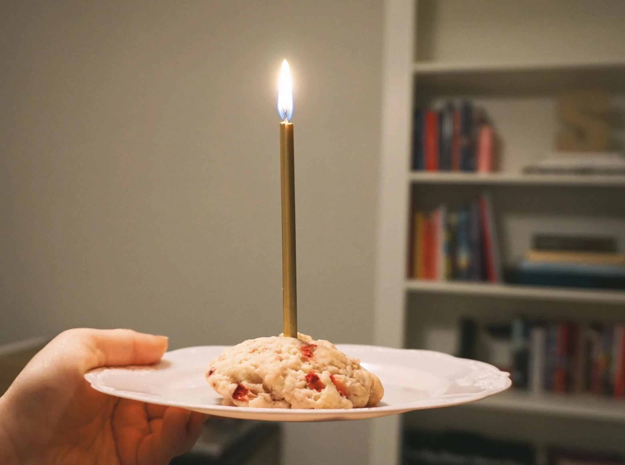 Birthday biscuits! Happy 1 year SF!