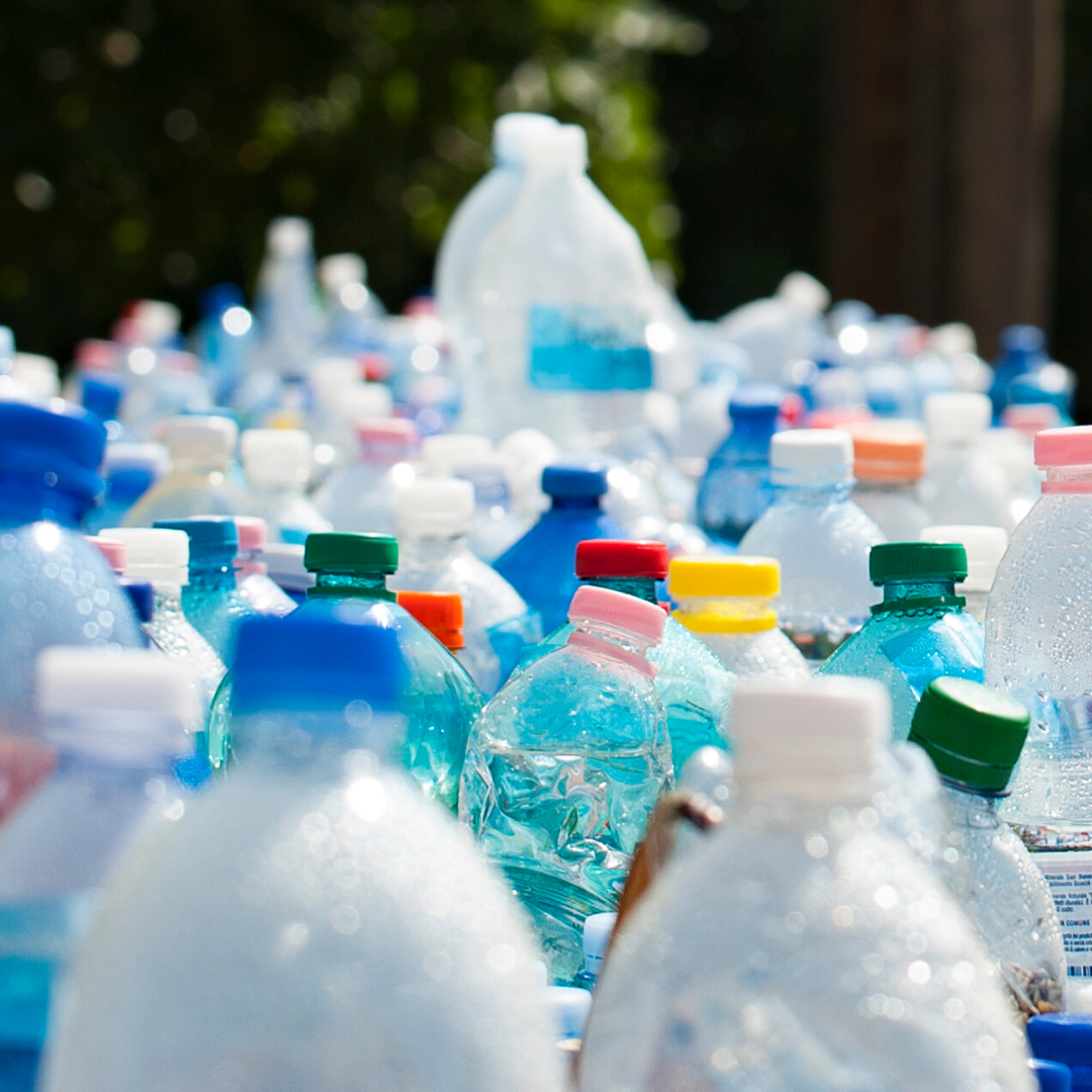 Belgravia Foundation collaborate to achieve a unique fundraising opportunity