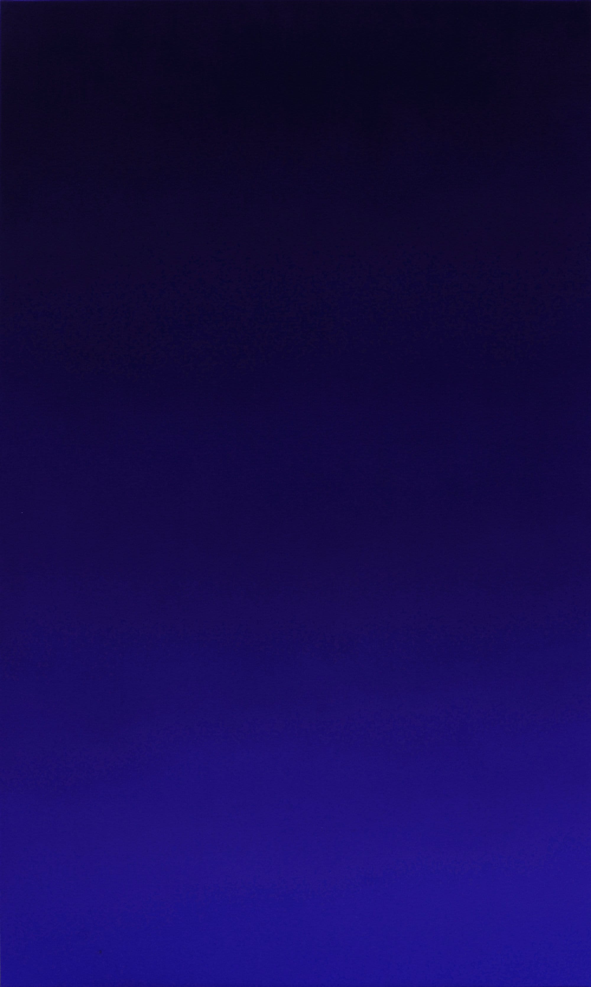 Arpents d'Eternité II . Huile sur toile, 162 x 97 cm.