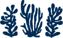 logo_coral.png