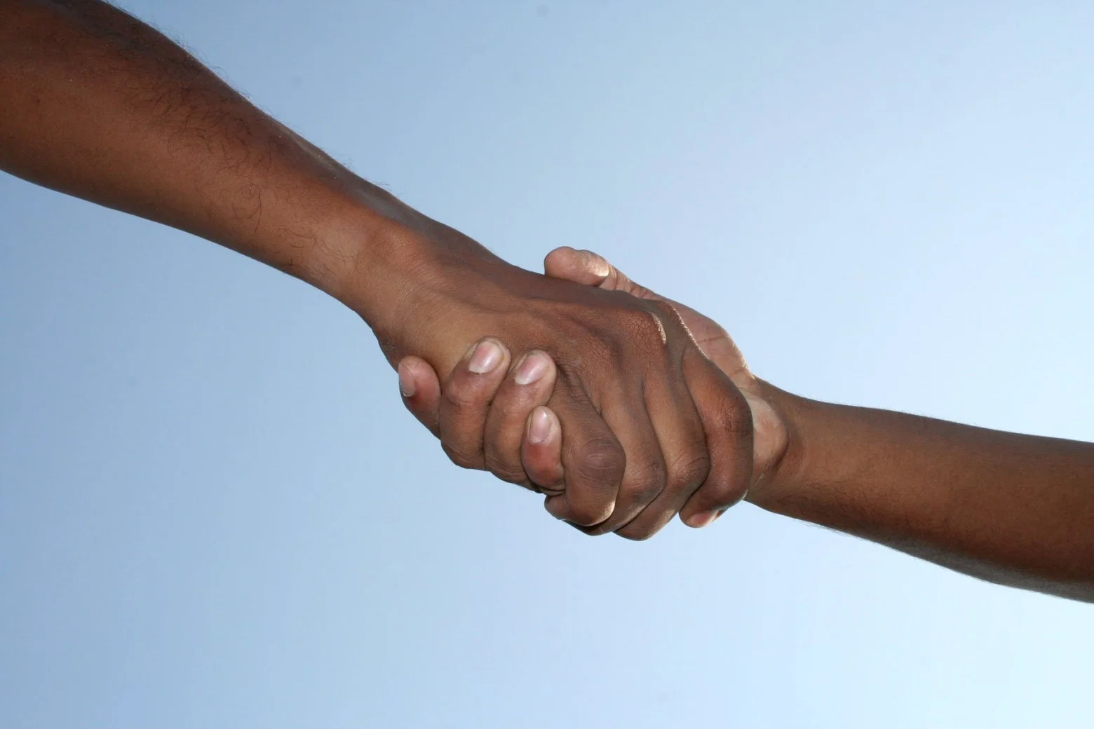 hand-shake.jpg