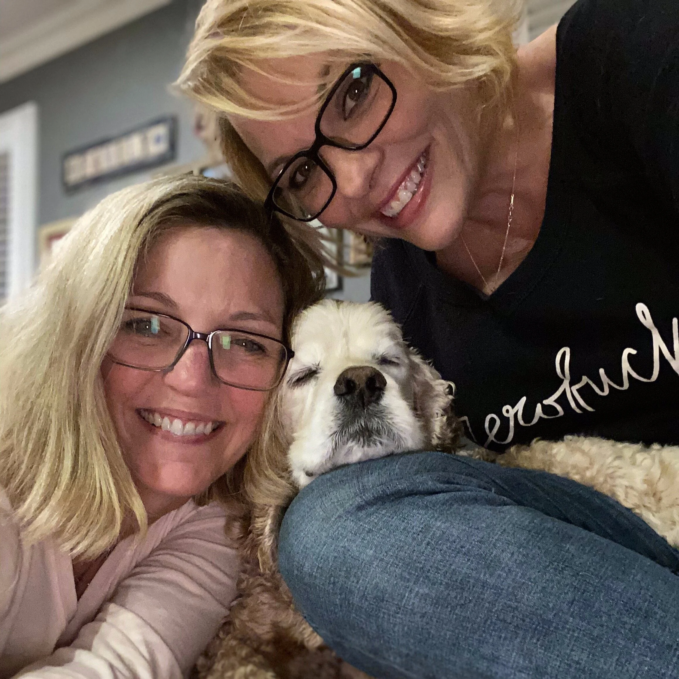 Tim &amp; Mitchell Gold chat about their new venture, Tim Gold Dog Training, and how they are changing the world for dogs &amp; their owners