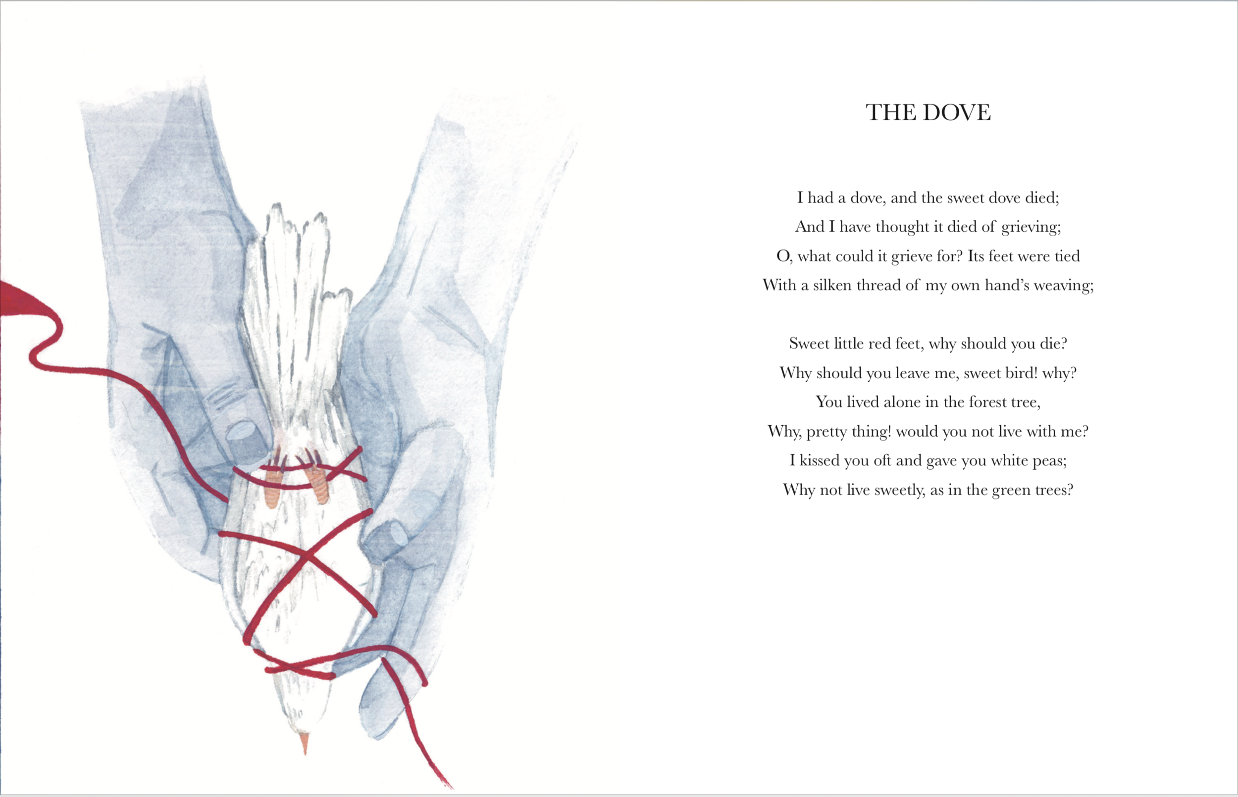 The Dove