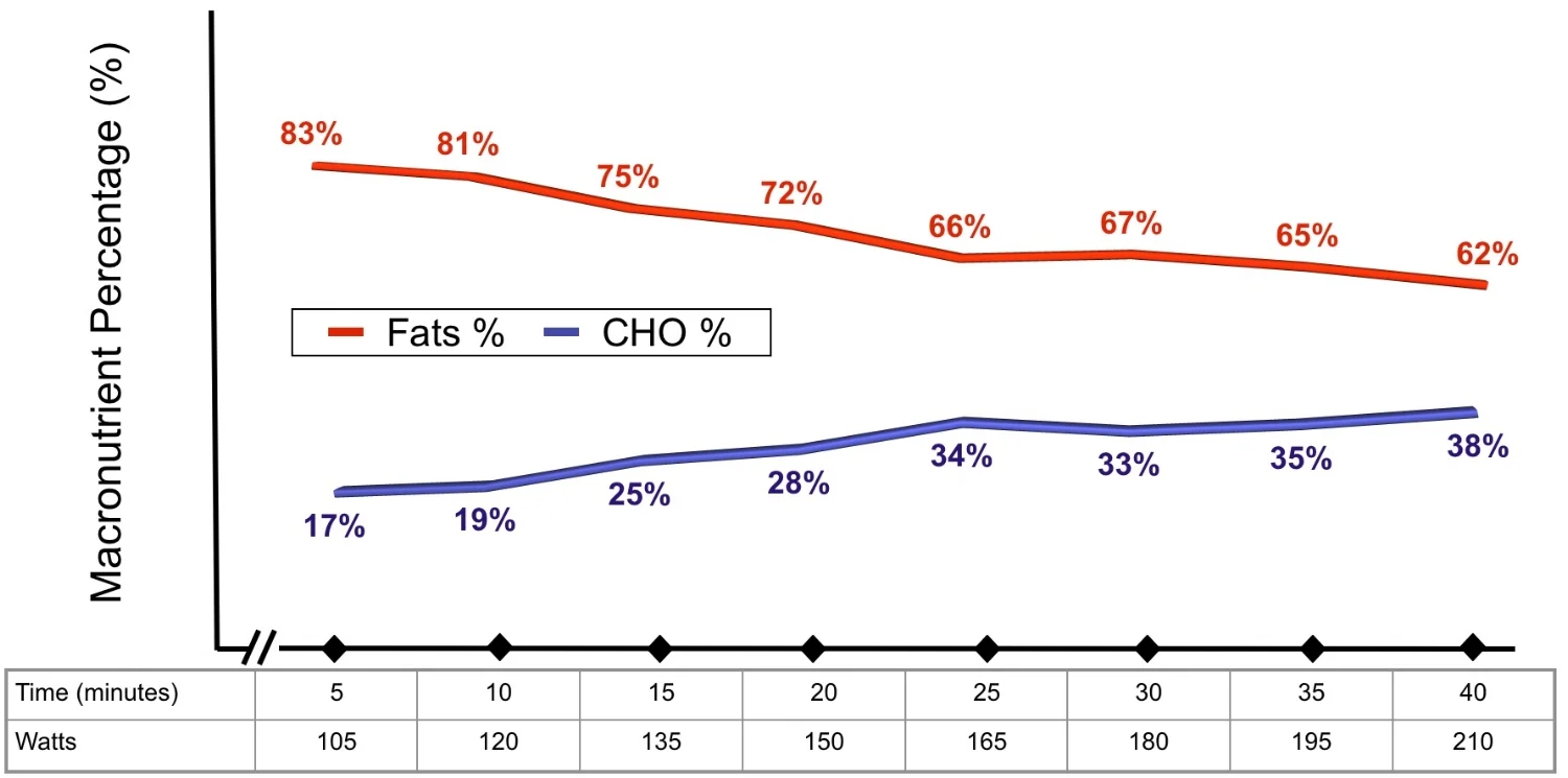 May 2013: Metabolic Efficiency Assessment: Bike
