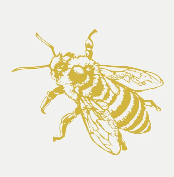 Altered Bee Graphic Web Background Color.jpg