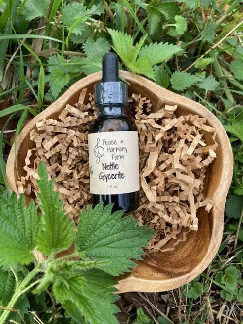 Nettle Glycerite