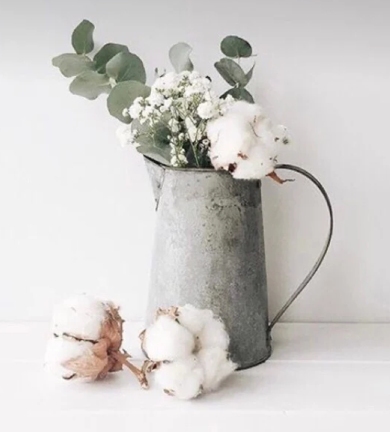 Cotton-Eucalyptus.png