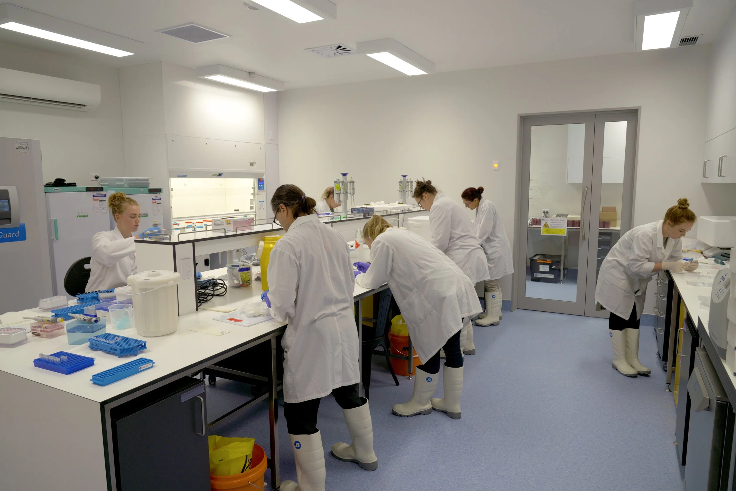 Cawthron Te Wero Aro-anamata