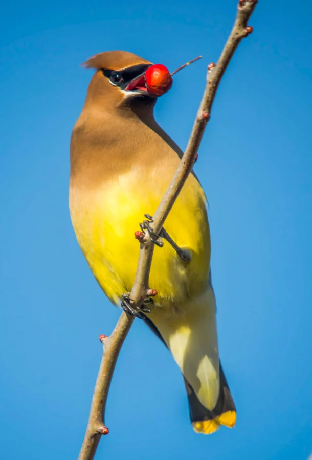 DSC_6640.jpg