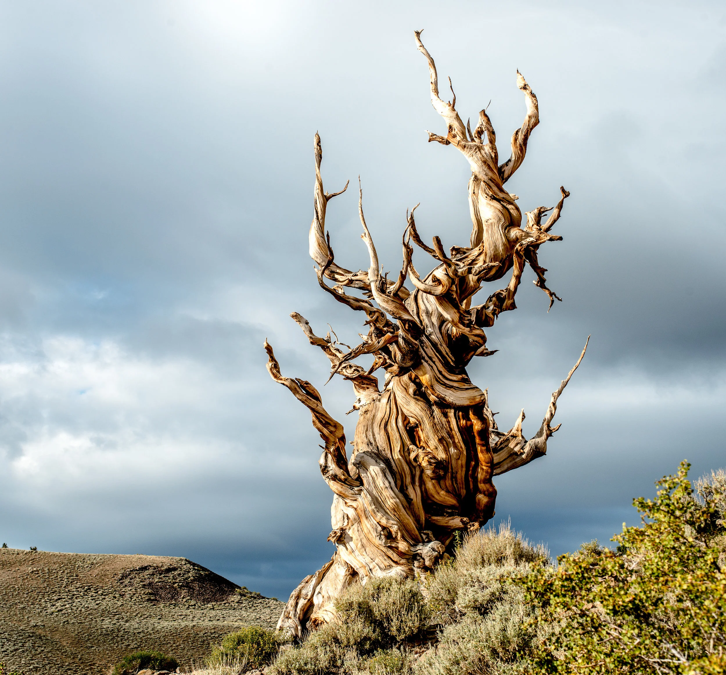 DSC_7005-3.jpg