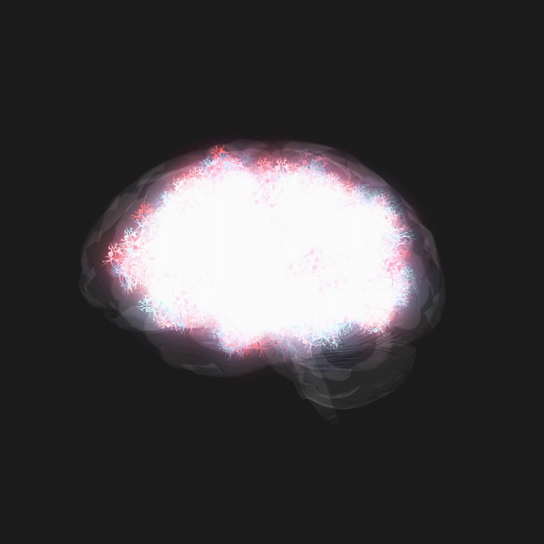 Lufthansa Brain Rated Travel