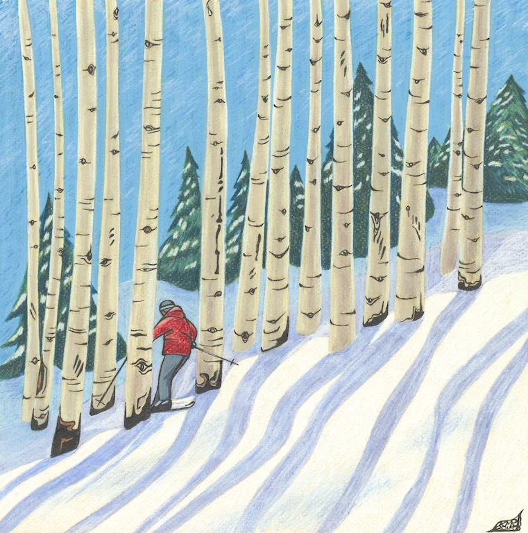 ASkiing through the aspens in Park City Canyons, Utah on a bluebird day.spen Shadows, 