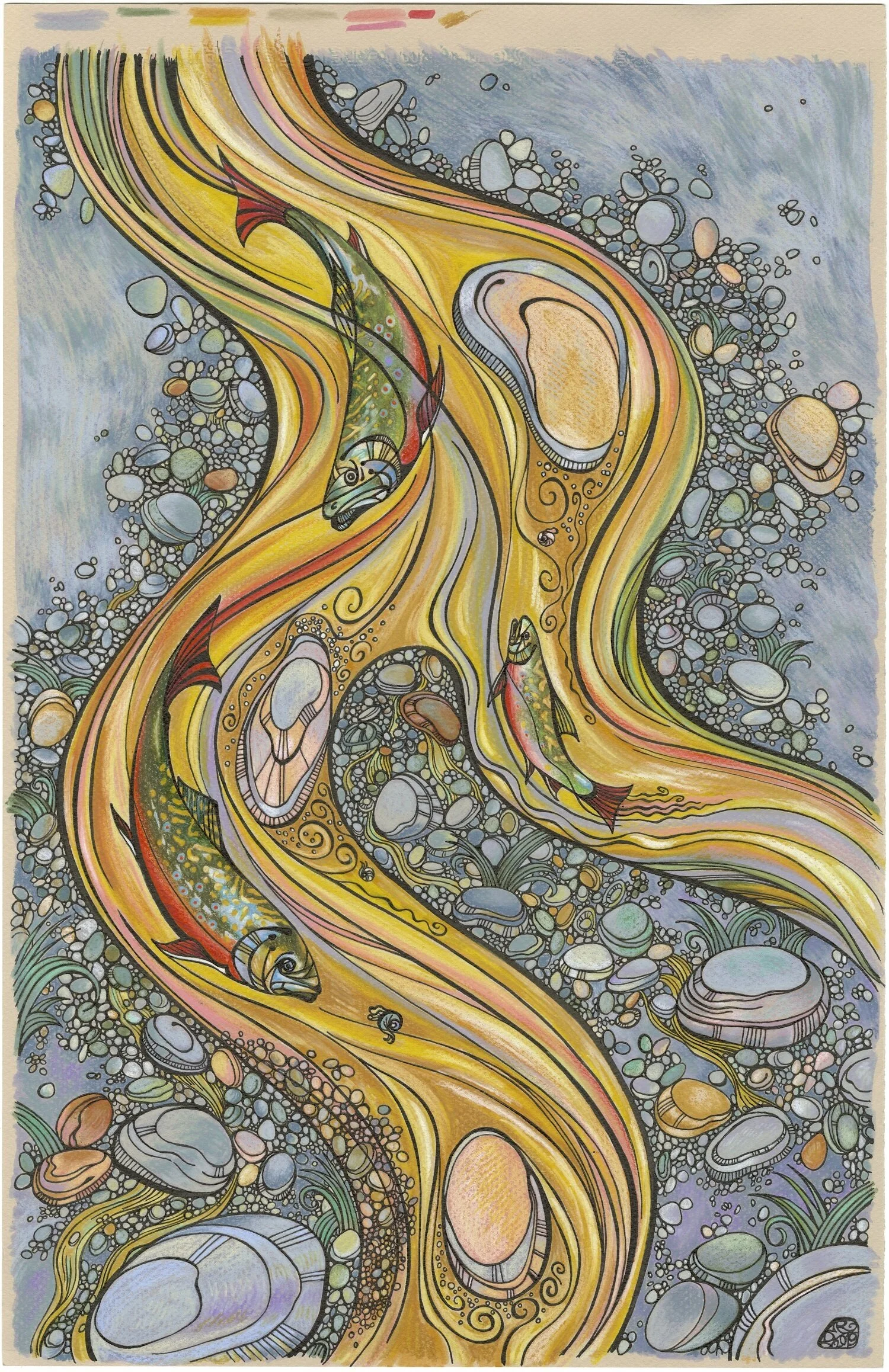 Pebble and Brook, Swimming Brook Trout in a cobblestone streambed. Pen and ink with watercolor and color pencil.